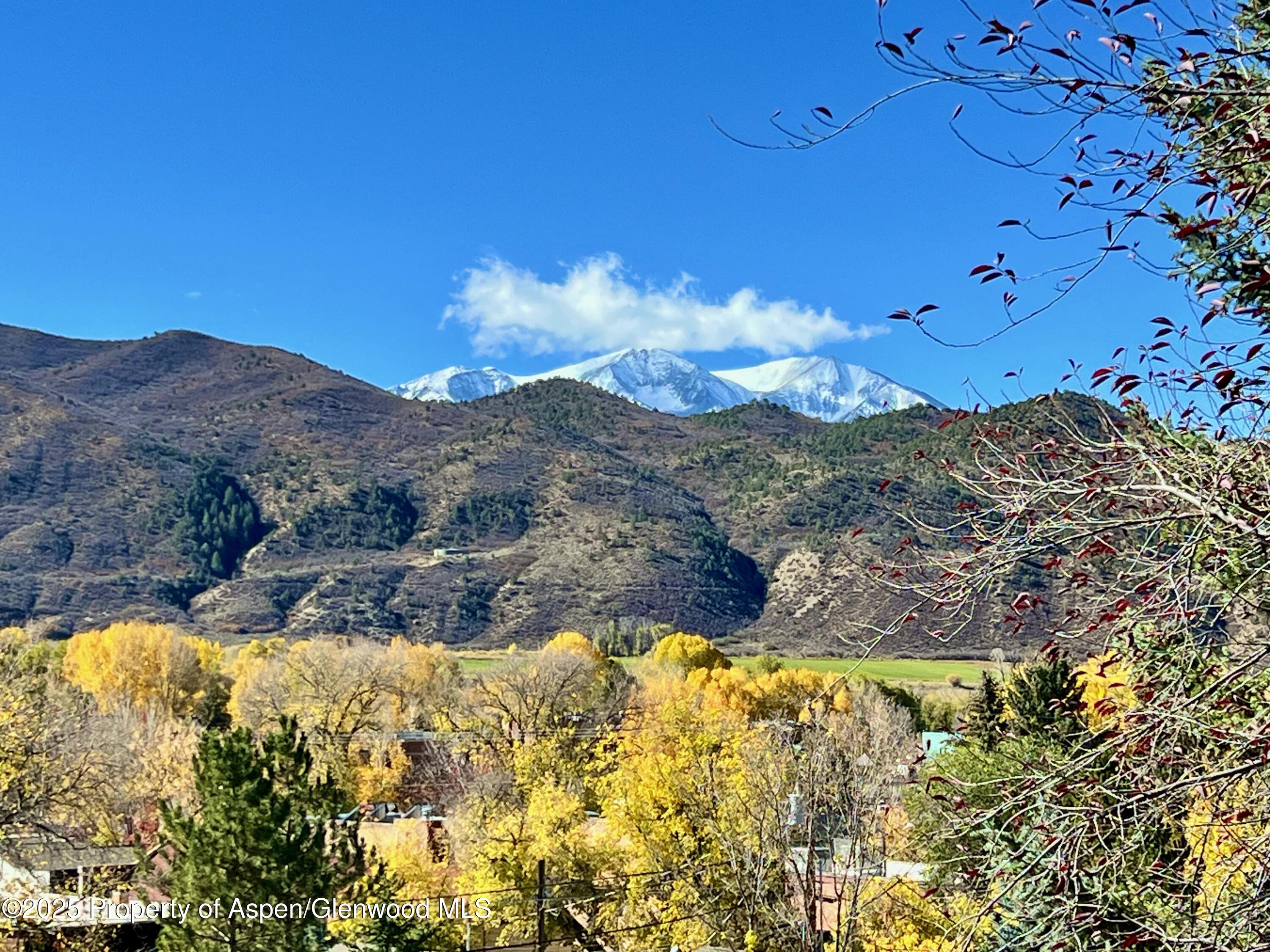 216 E Homestead Drive Basalt CO 81621