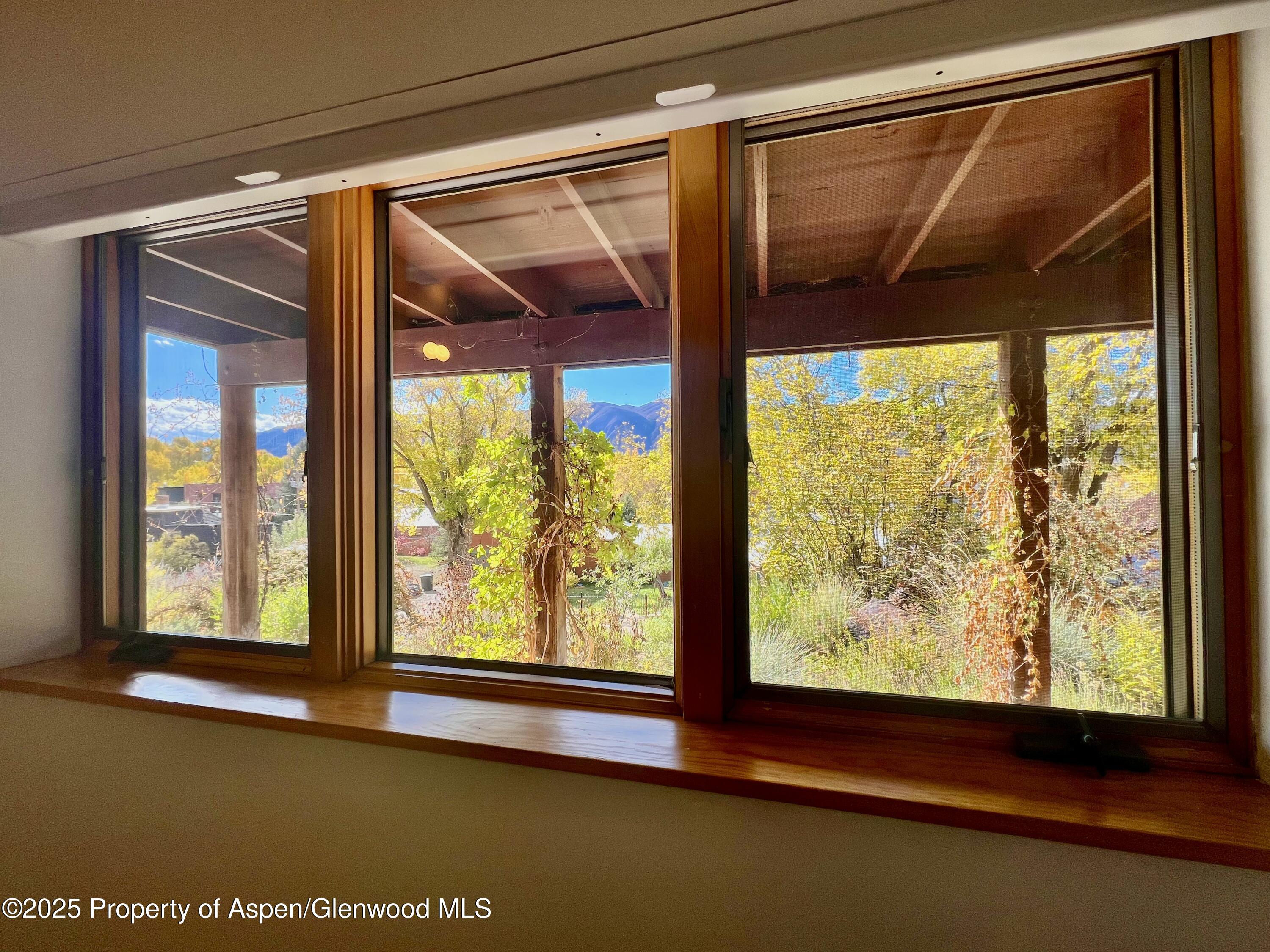 216 E Homestead Drive Basalt CO 81621