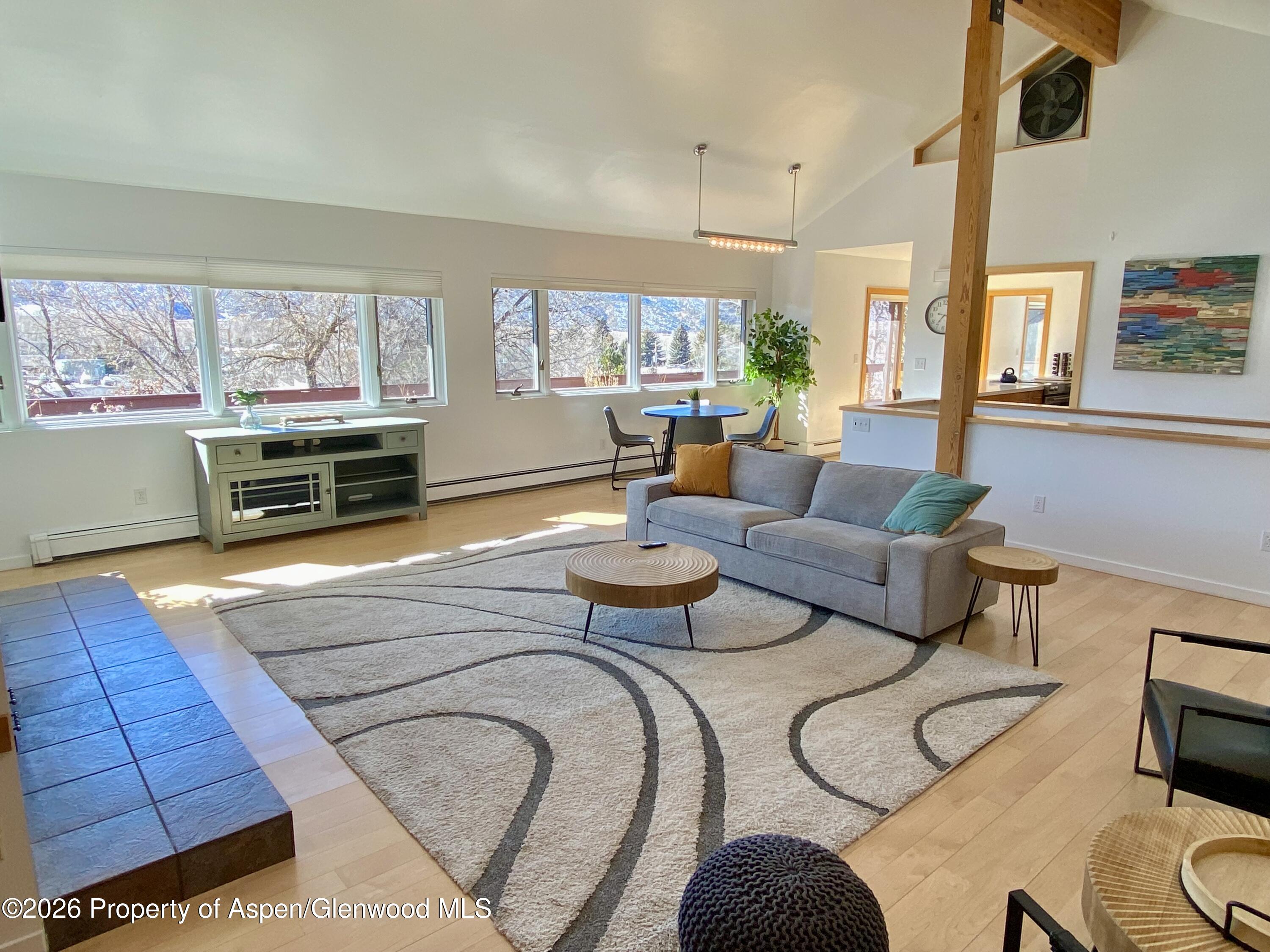 216 E Homestead Drive Basalt CO 81621