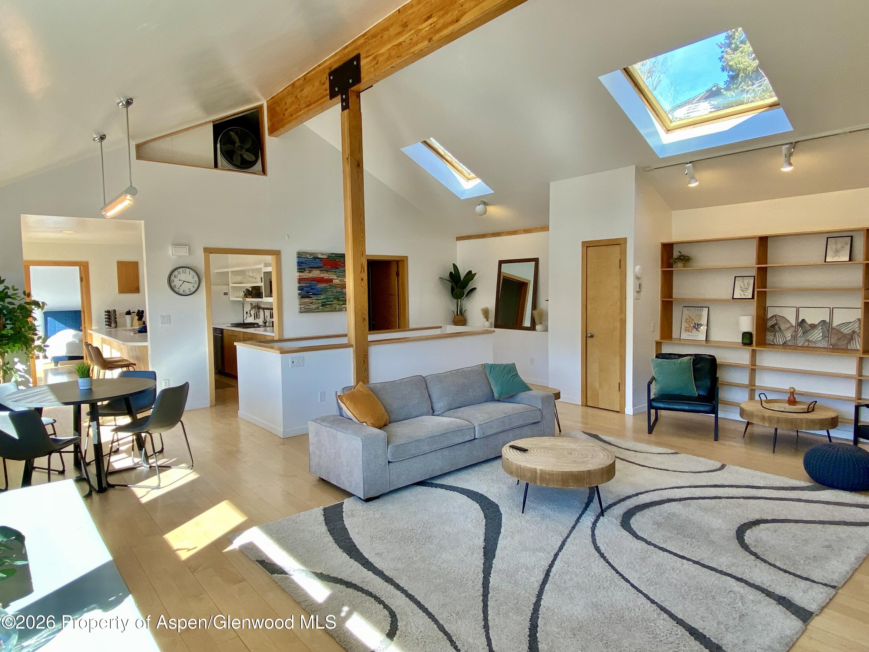 216 E Homestead Drive Basalt CO 81621