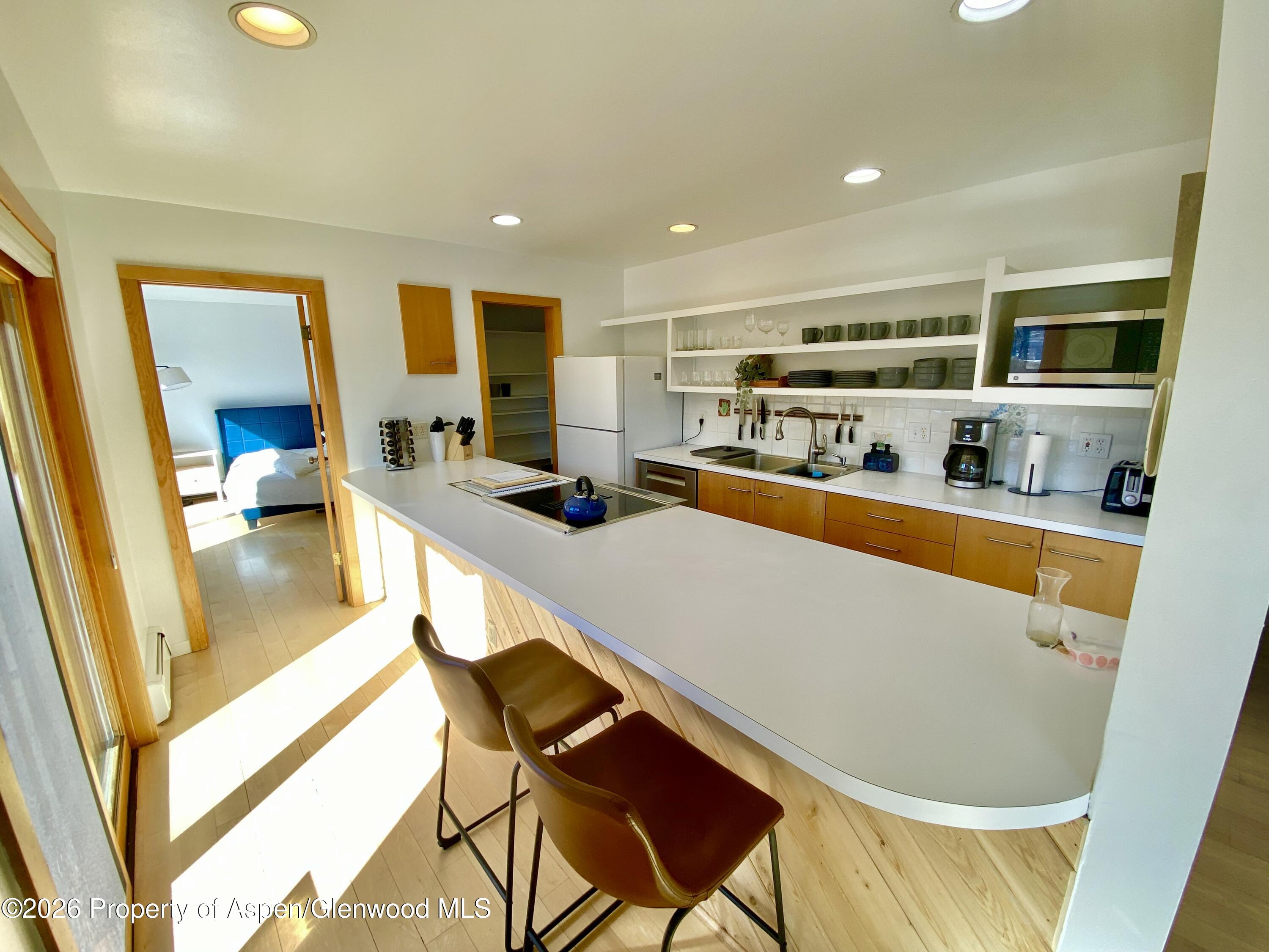 216 E Homestead Drive Basalt CO 81621