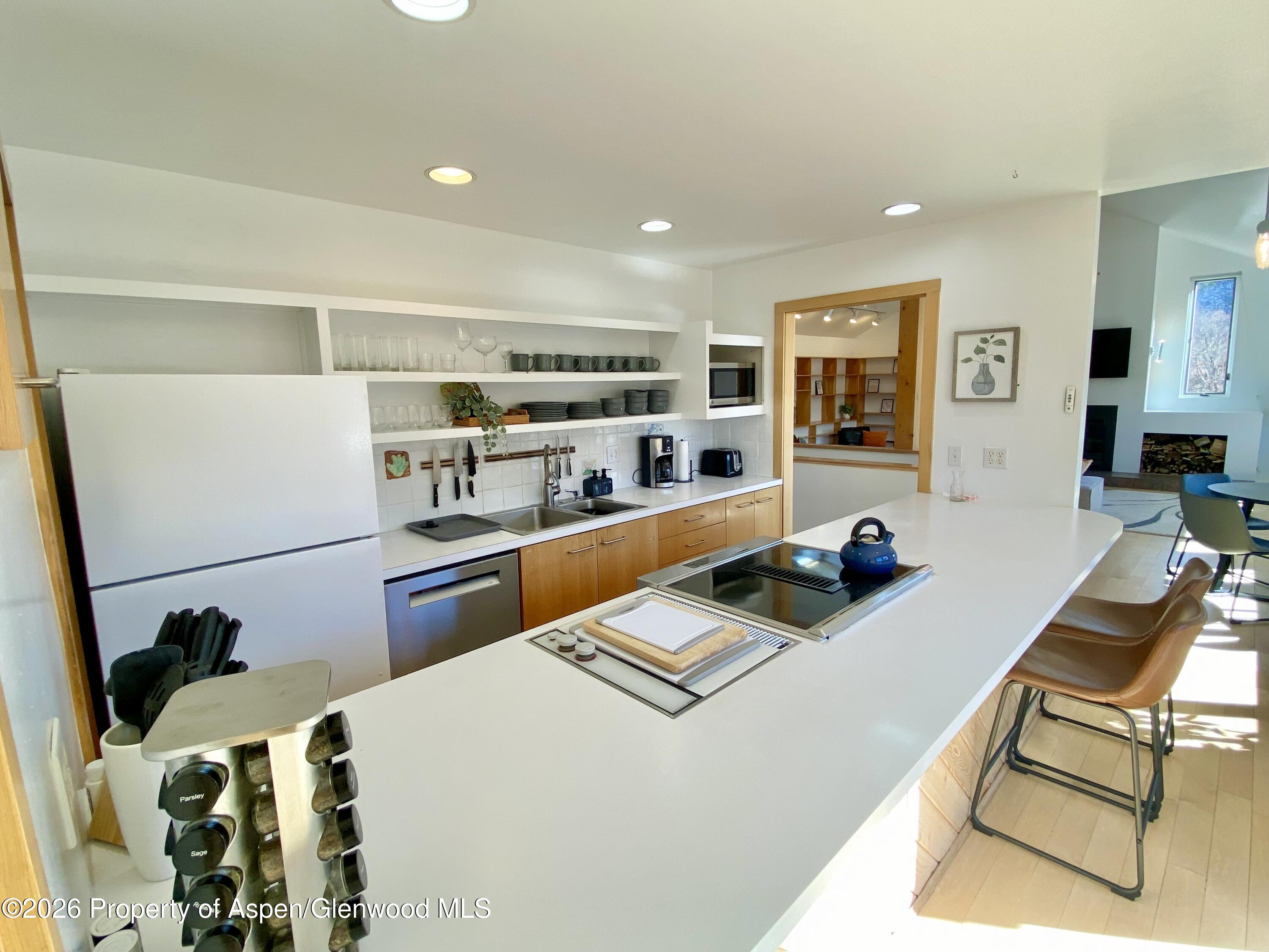 216 E Homestead Drive Basalt CO 81621