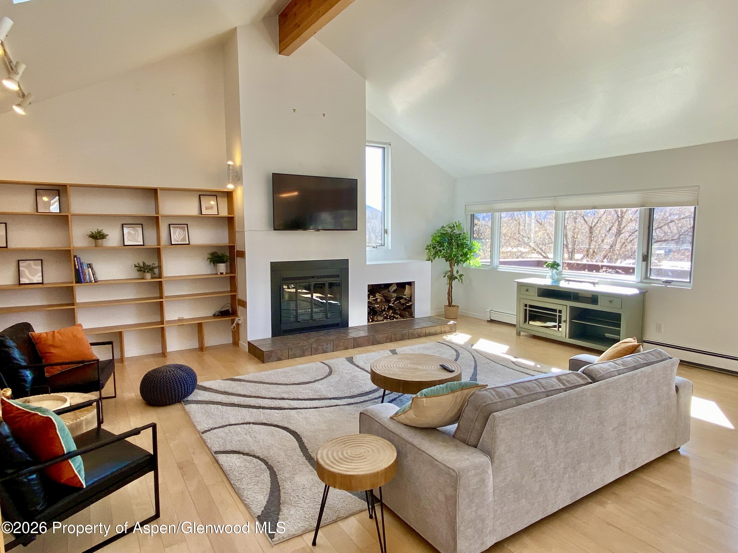 216 E Homestead Drive Basalt CO 81621