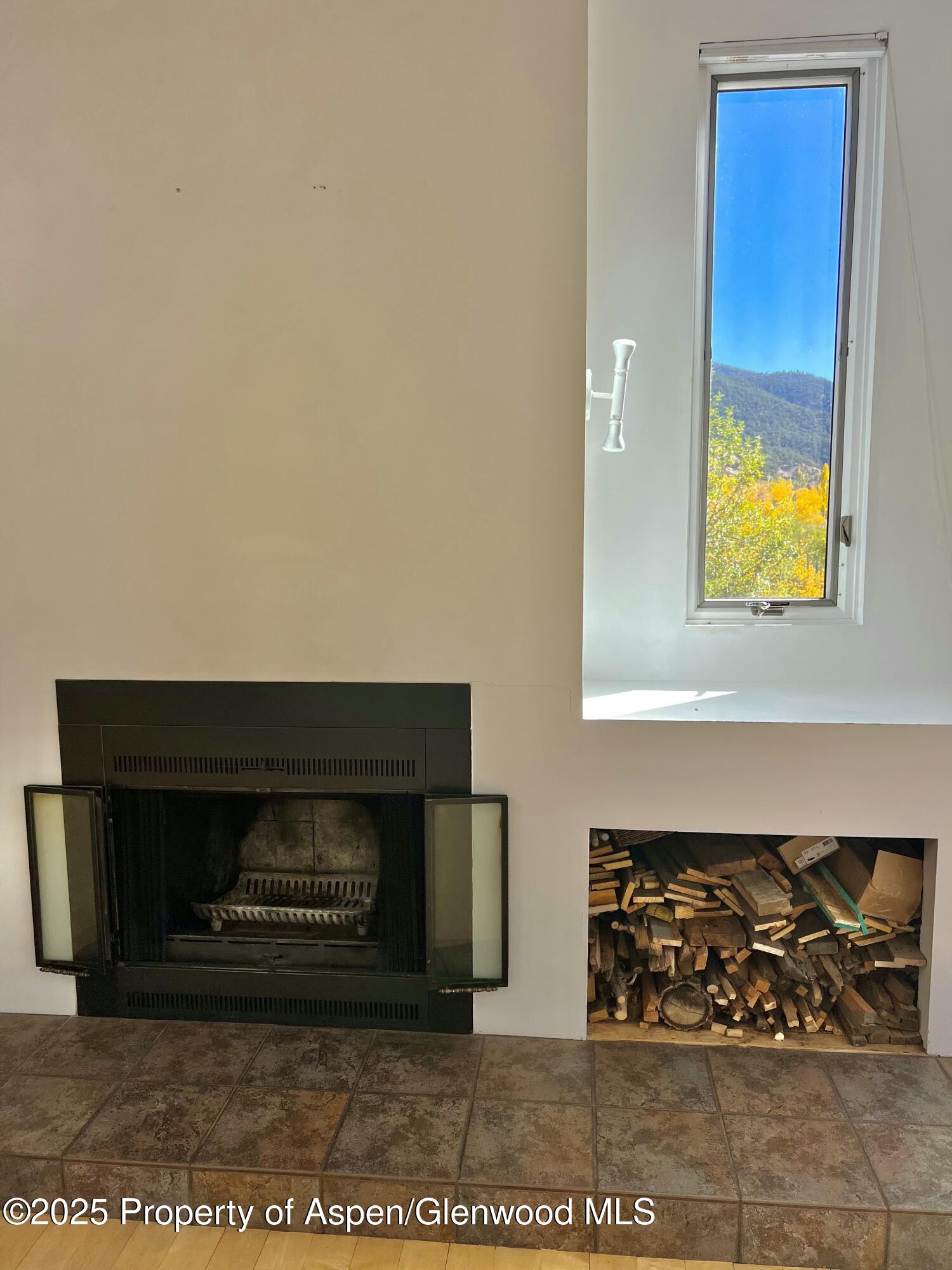 216 E Homestead Drive Basalt CO 81621