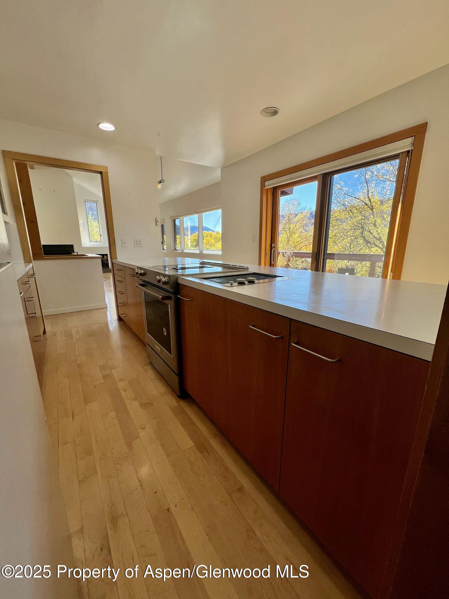 216 E Homestead Drive Basalt CO 81621