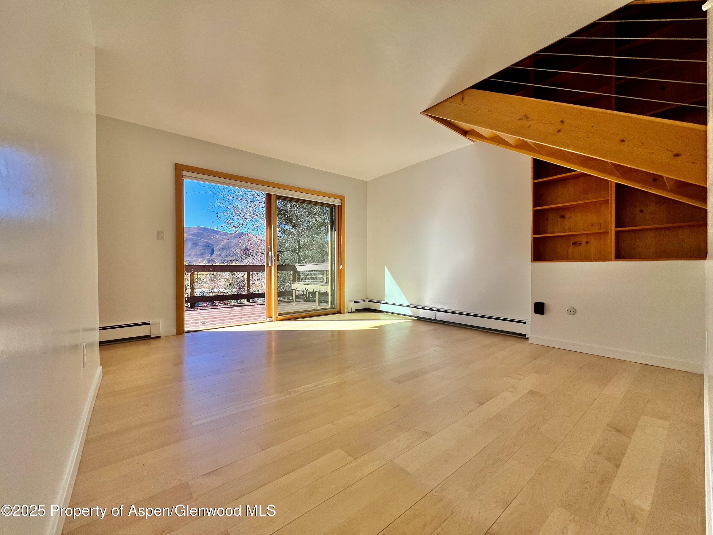 216 E Homestead Drive Basalt CO 81621