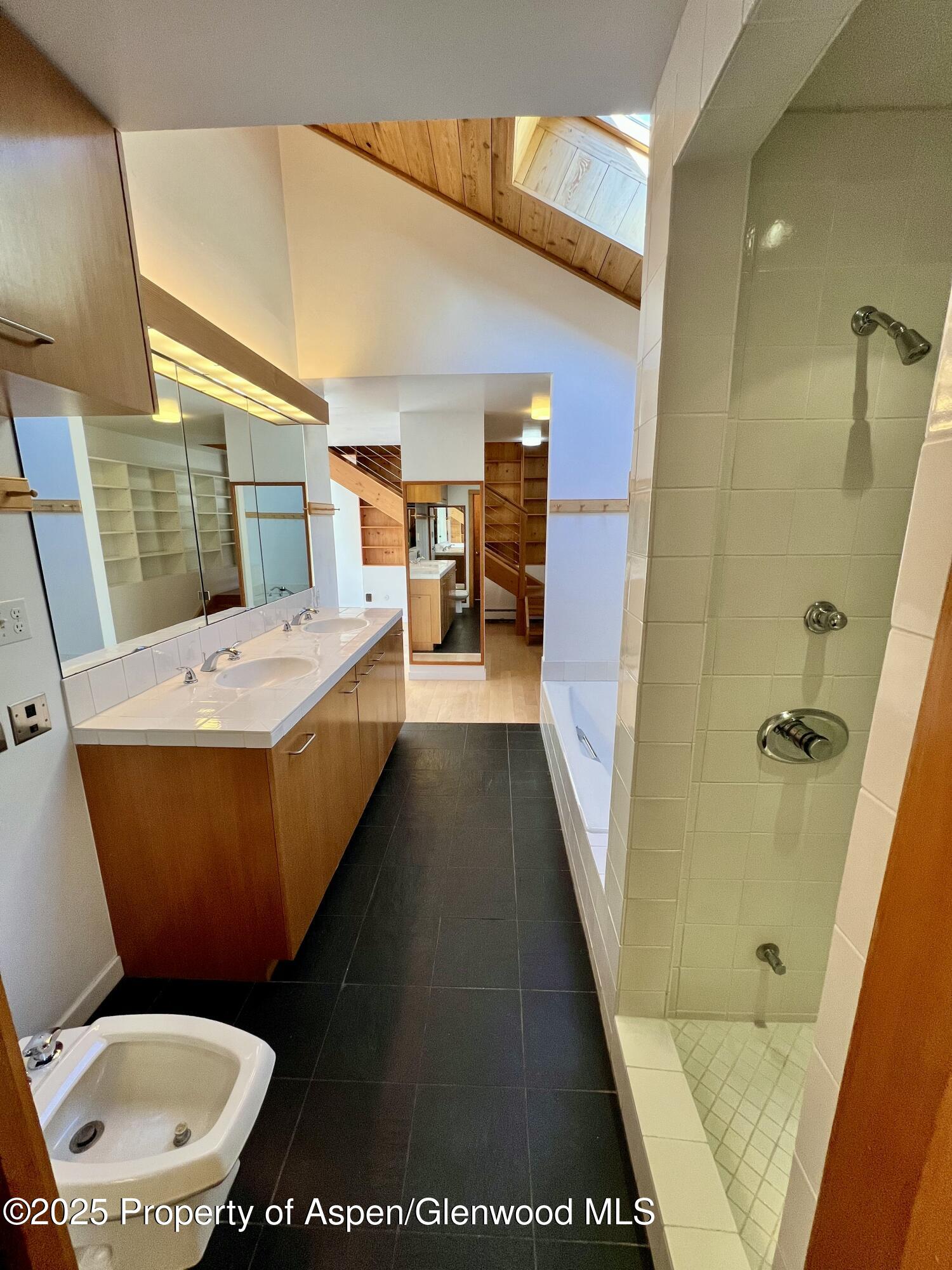 216 E Homestead Drive Basalt CO 81621