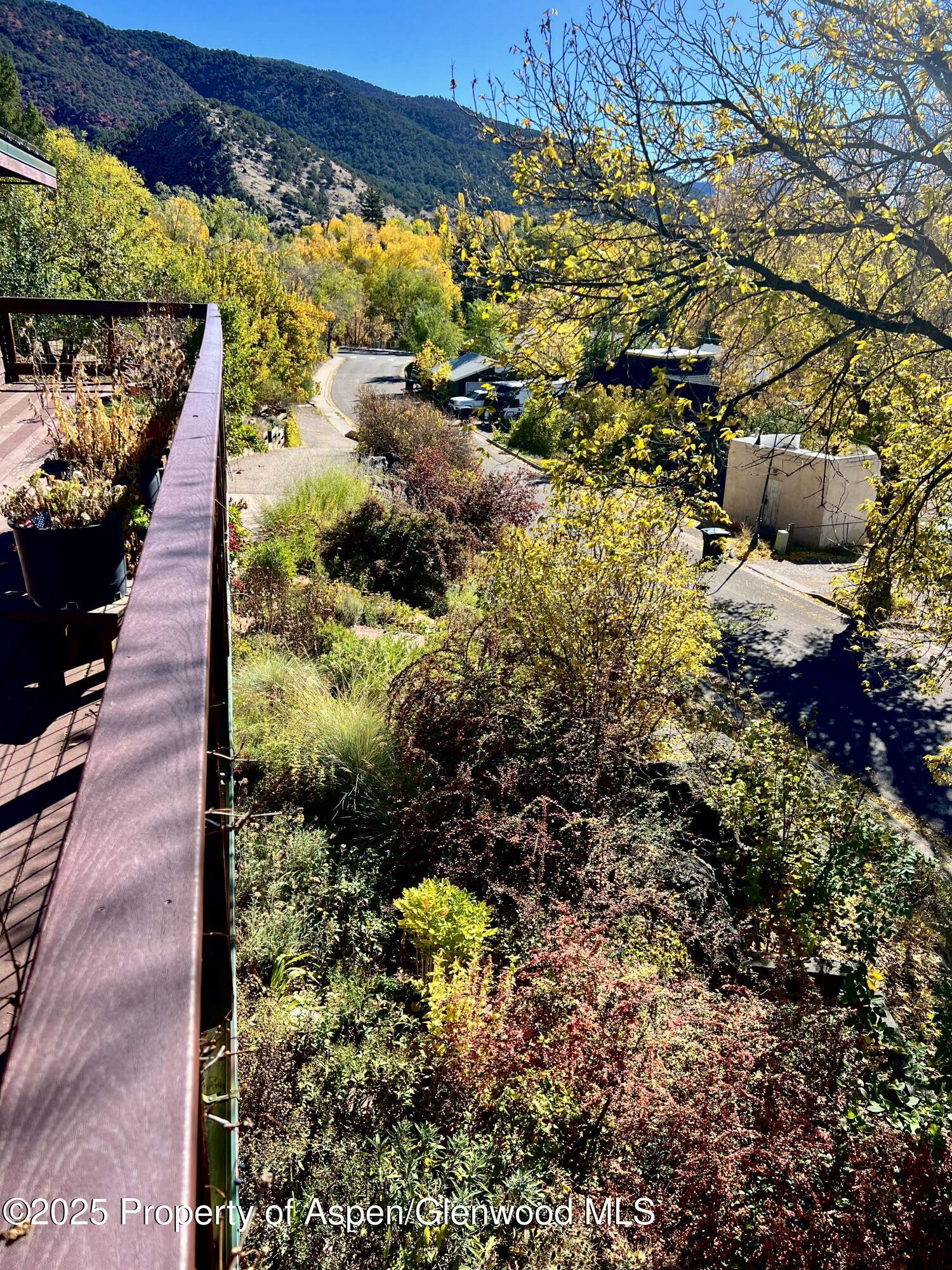 216 E Homestead Drive Basalt CO 81621