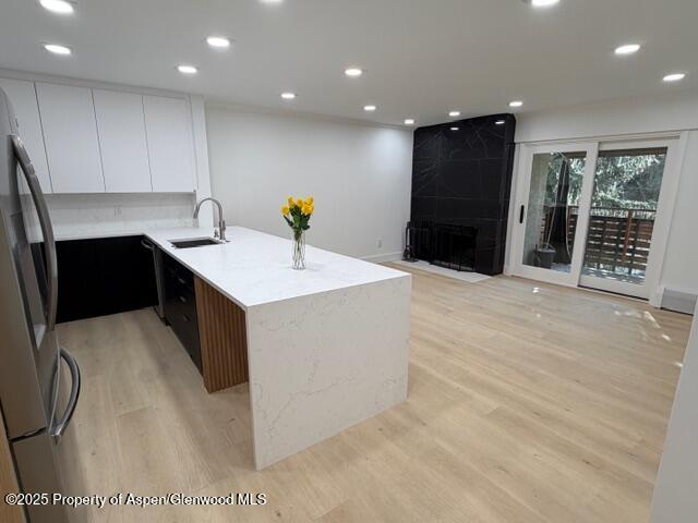 910 W Hallam Street Aspen CO 81611