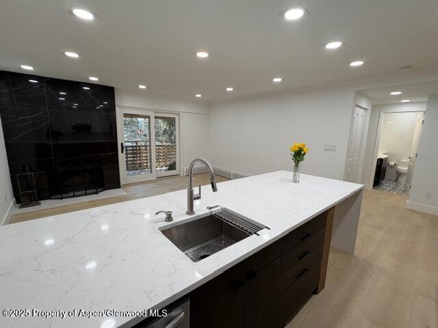 910 W Hallam Street Aspen CO 81611