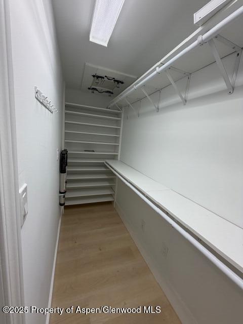 910 W Hallam Street Aspen CO 81611