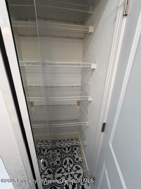 910 W Hallam Street Aspen CO 81611