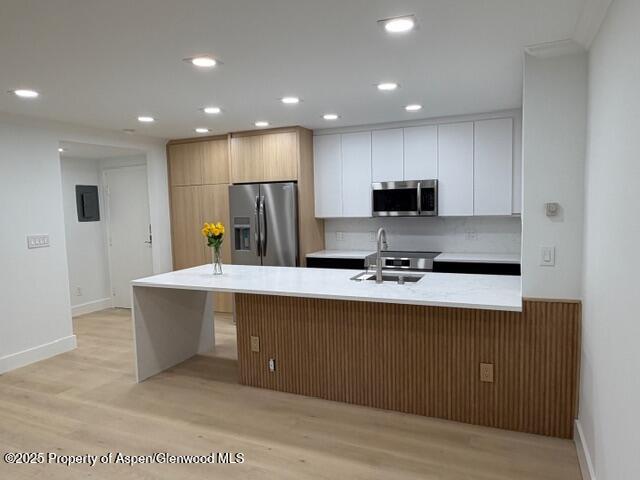 910 W Hallam Street Aspen CO 81611