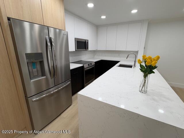 910 W Hallam Street Aspen CO 81611