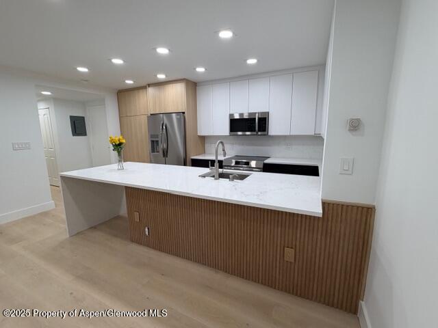 910 W Hallam Street Aspen CO 81611