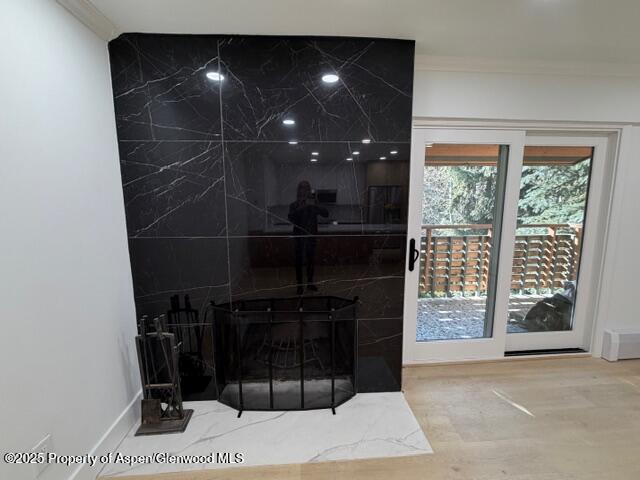 910 W Hallam Street Aspen CO 81611