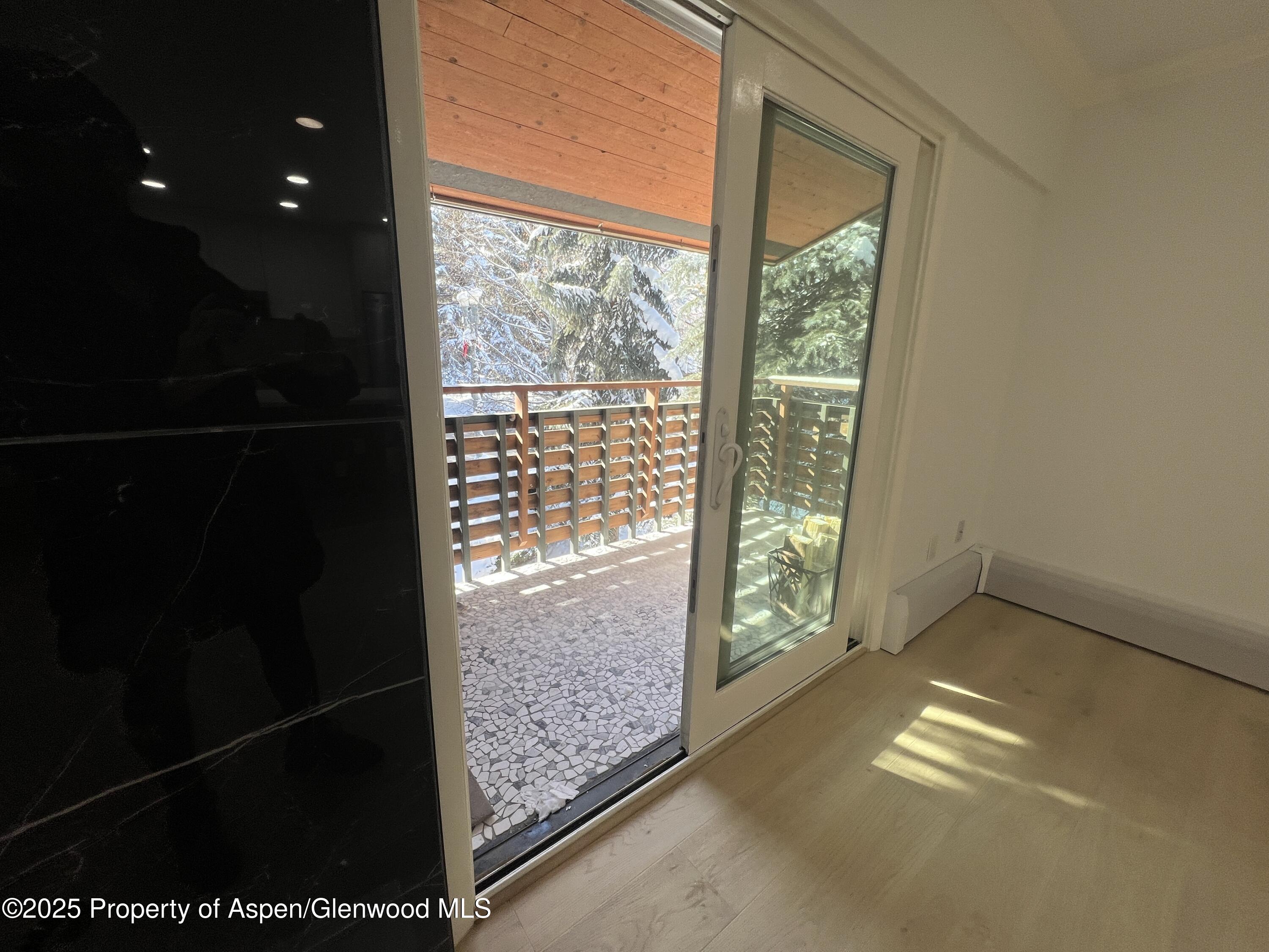 910 W Hallam Street Aspen CO 81611