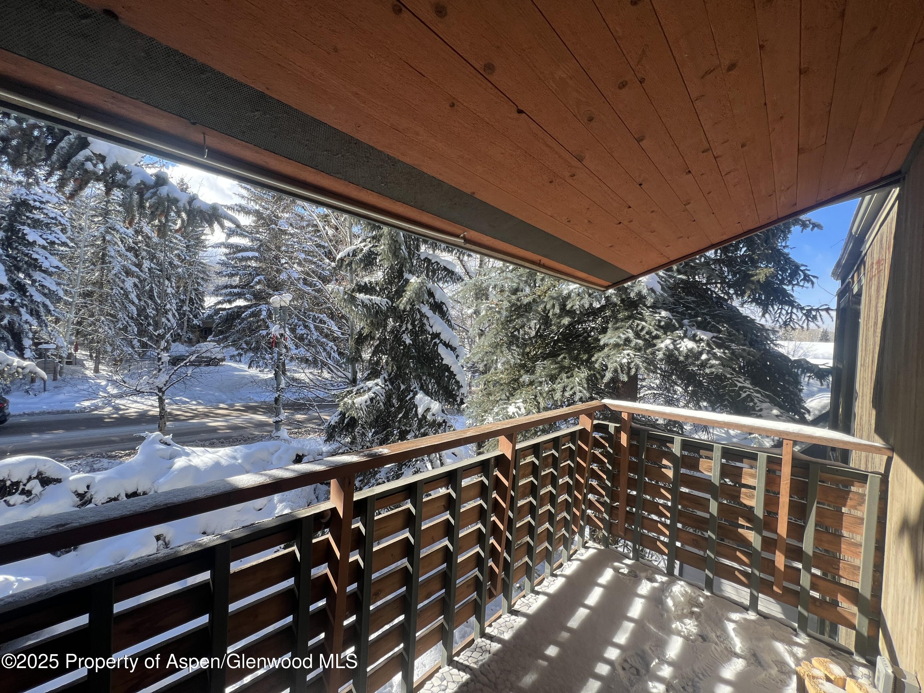 910 W Hallam Street Aspen CO 81611