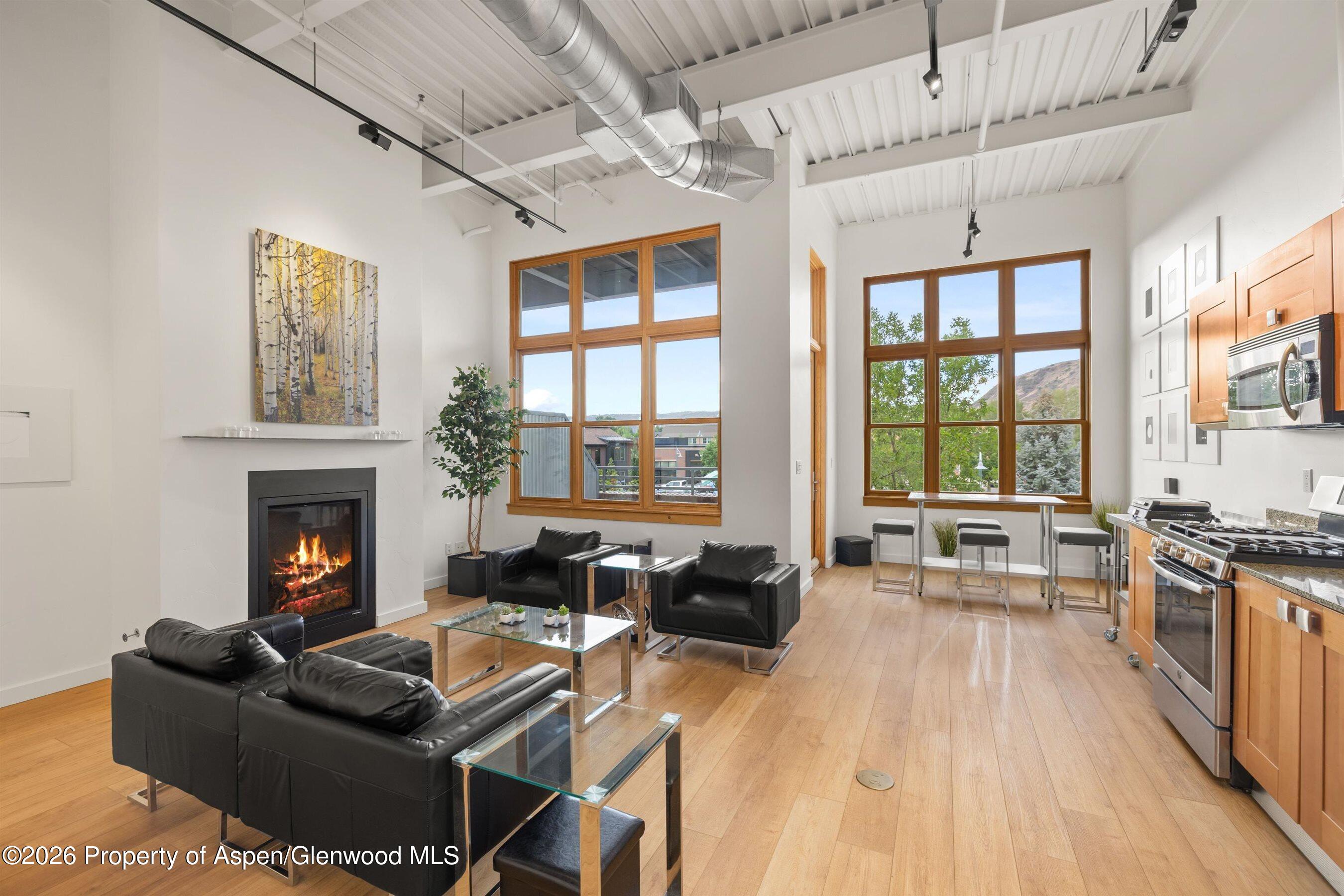 231 Robinson Street Basalt CO 81621