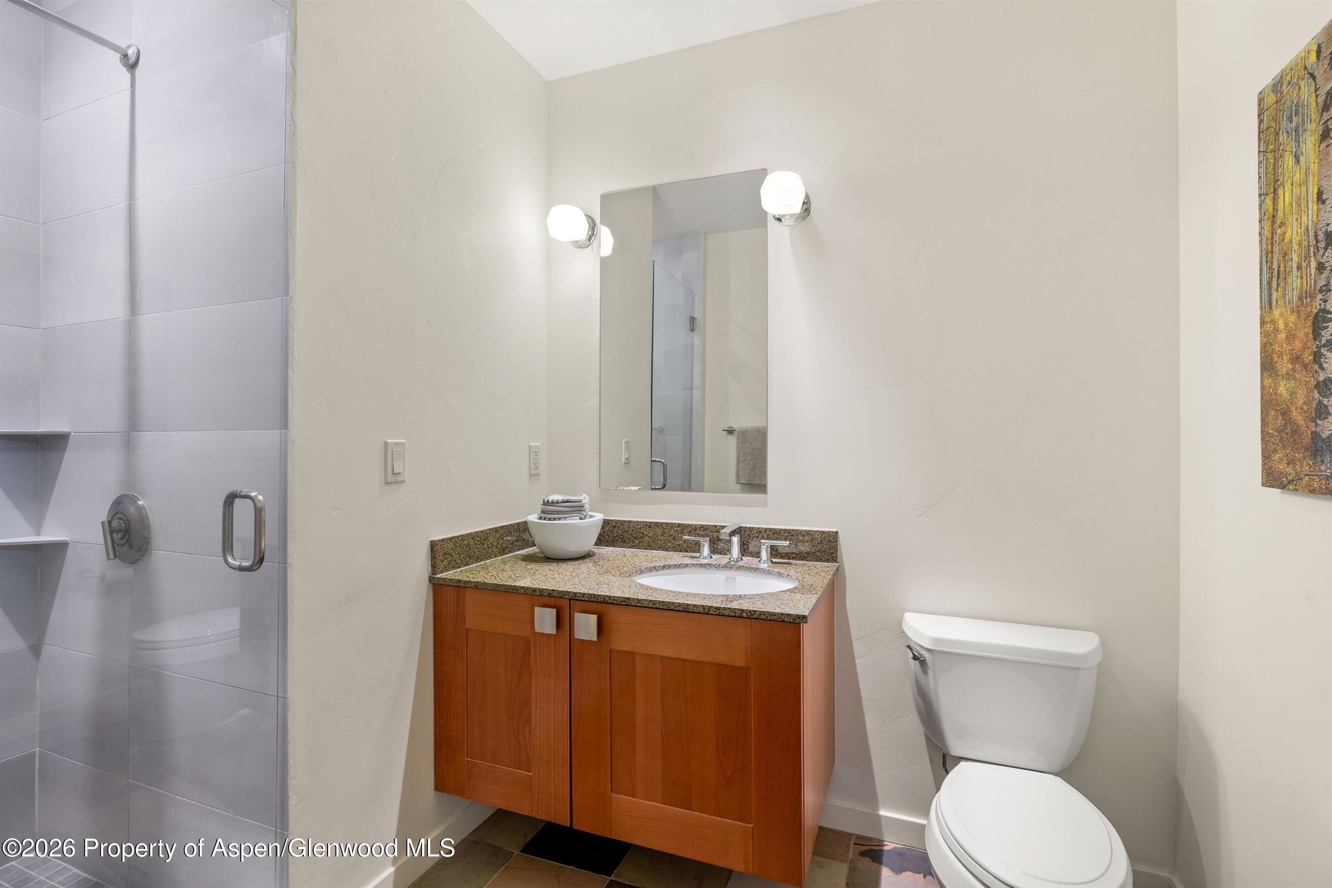 231 Robinson Street Basalt CO 81621