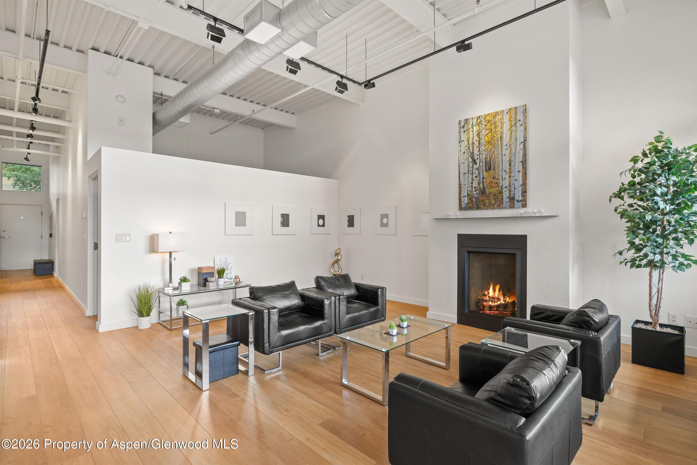 231 Robinson Street Basalt CO 81621