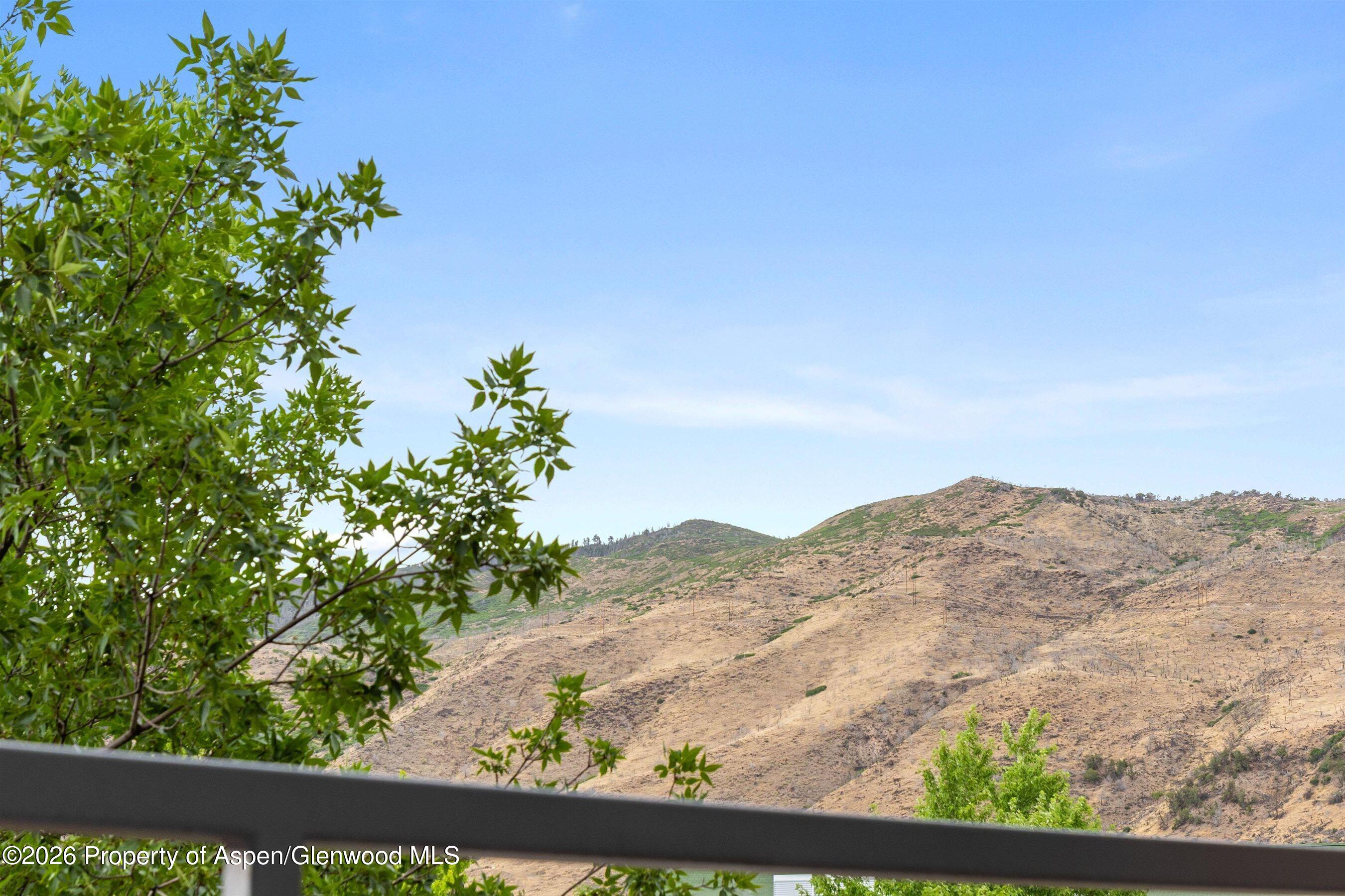 231 Robinson Street Basalt CO 81621