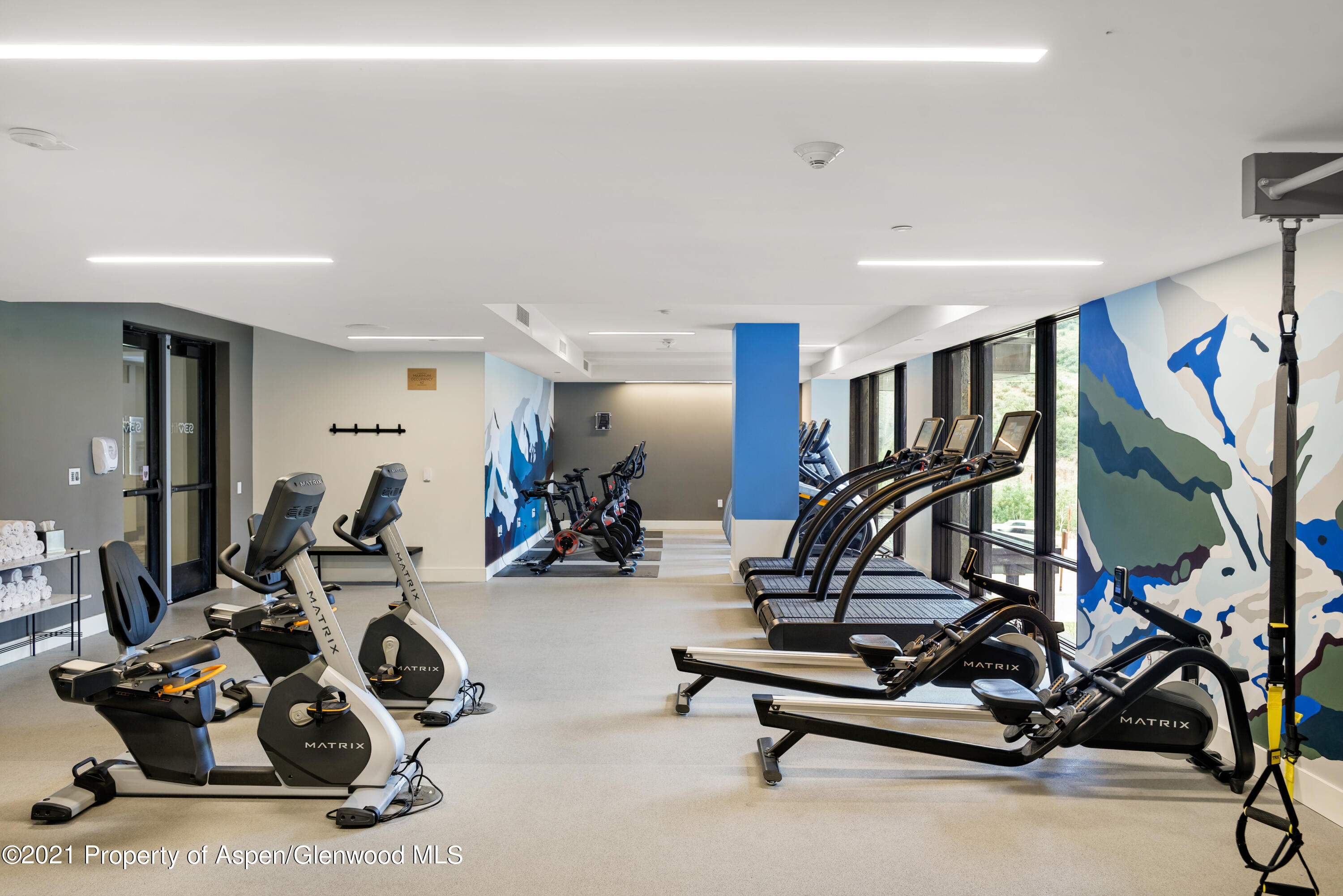 77 Wood Road Snowmass Village CO 81615