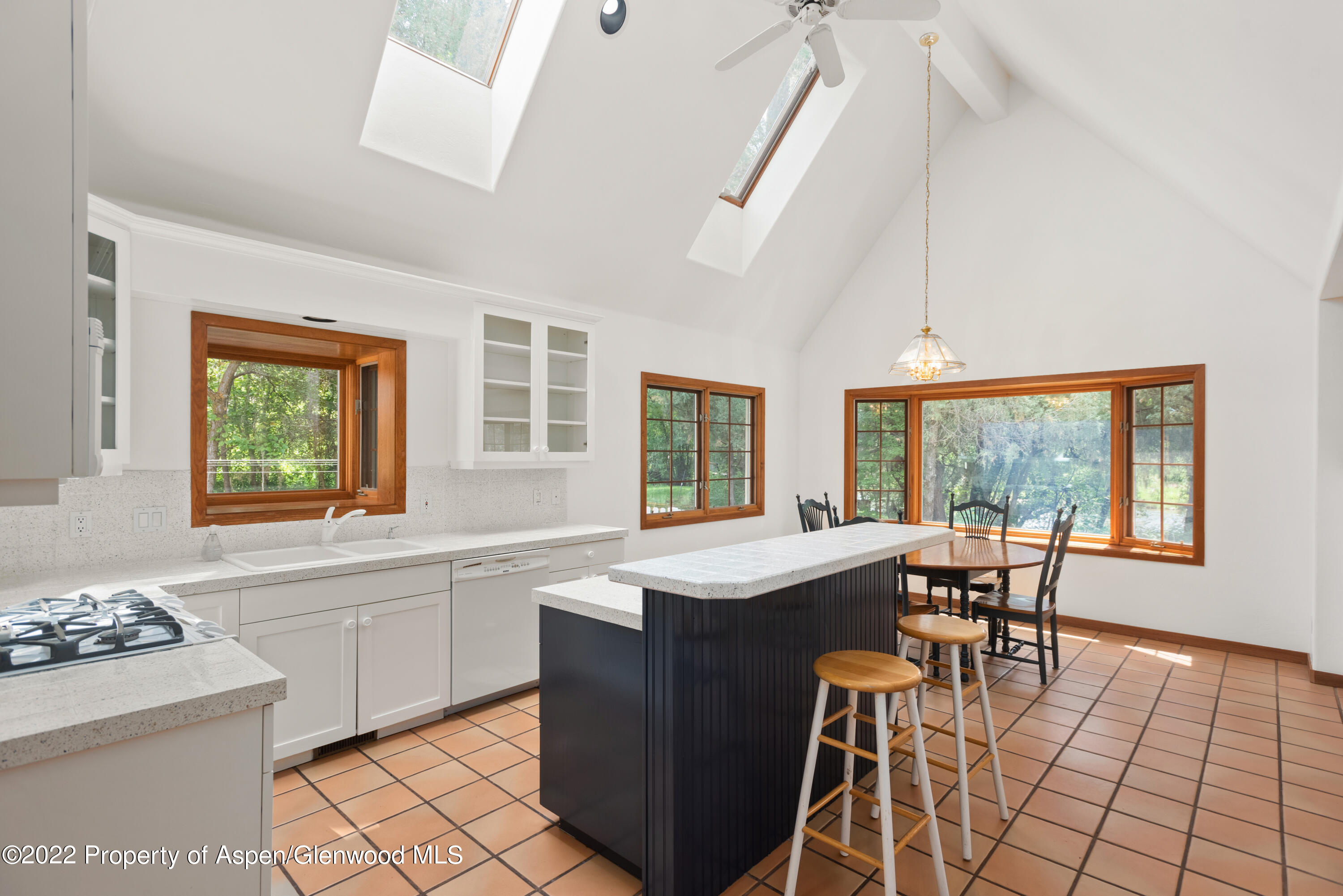 180 River Oaks Lane Basalt CO 81621