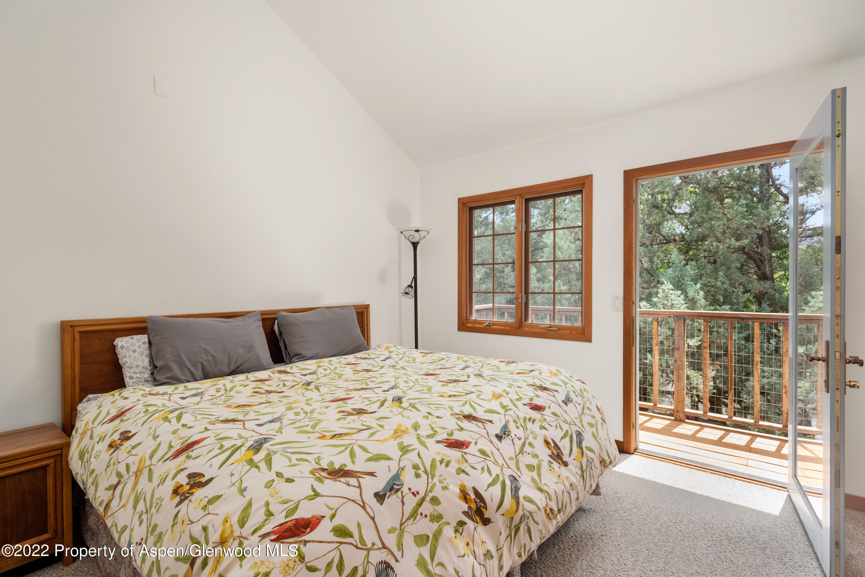 180 River Oaks Lane Basalt CO 81621