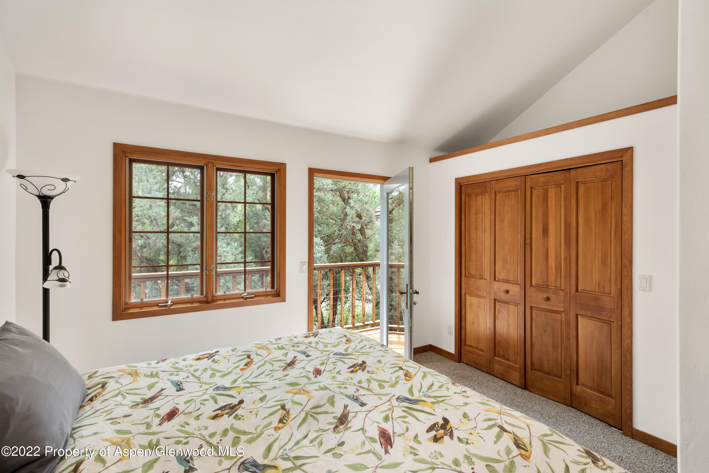 180 River Oaks Lane Basalt CO 81621