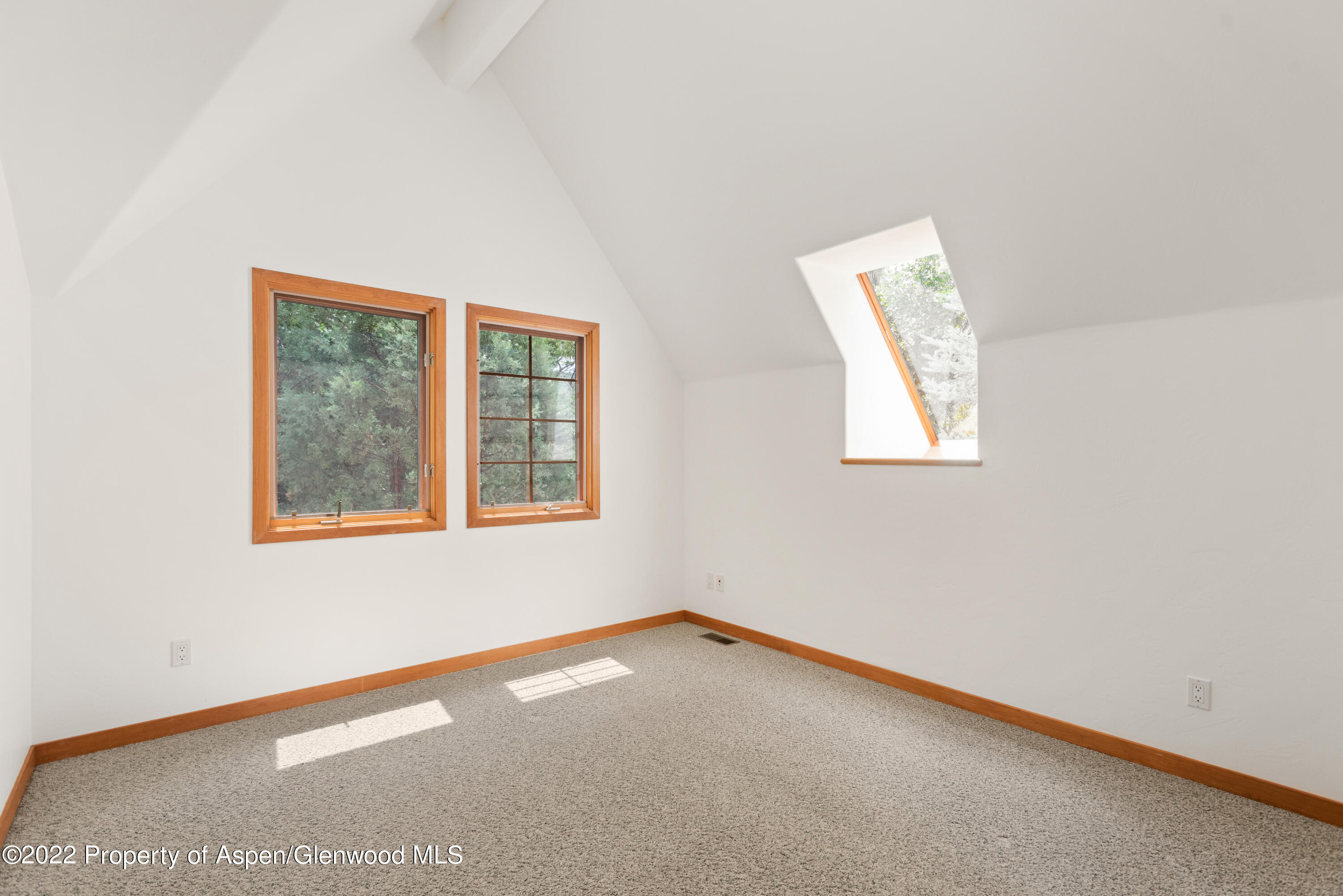 180 River Oaks Lane Basalt CO 81621