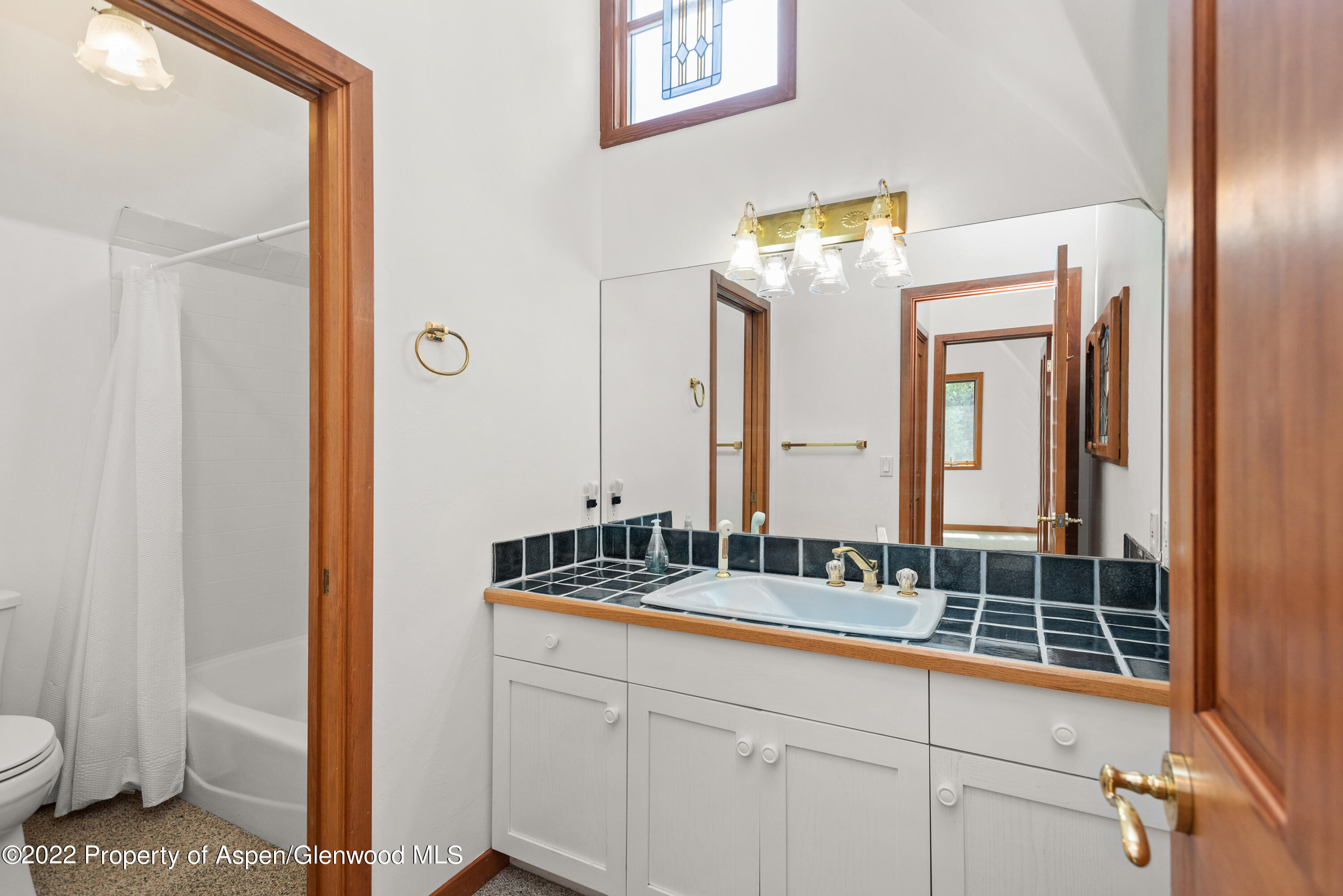 180 River Oaks Lane Basalt CO 81621