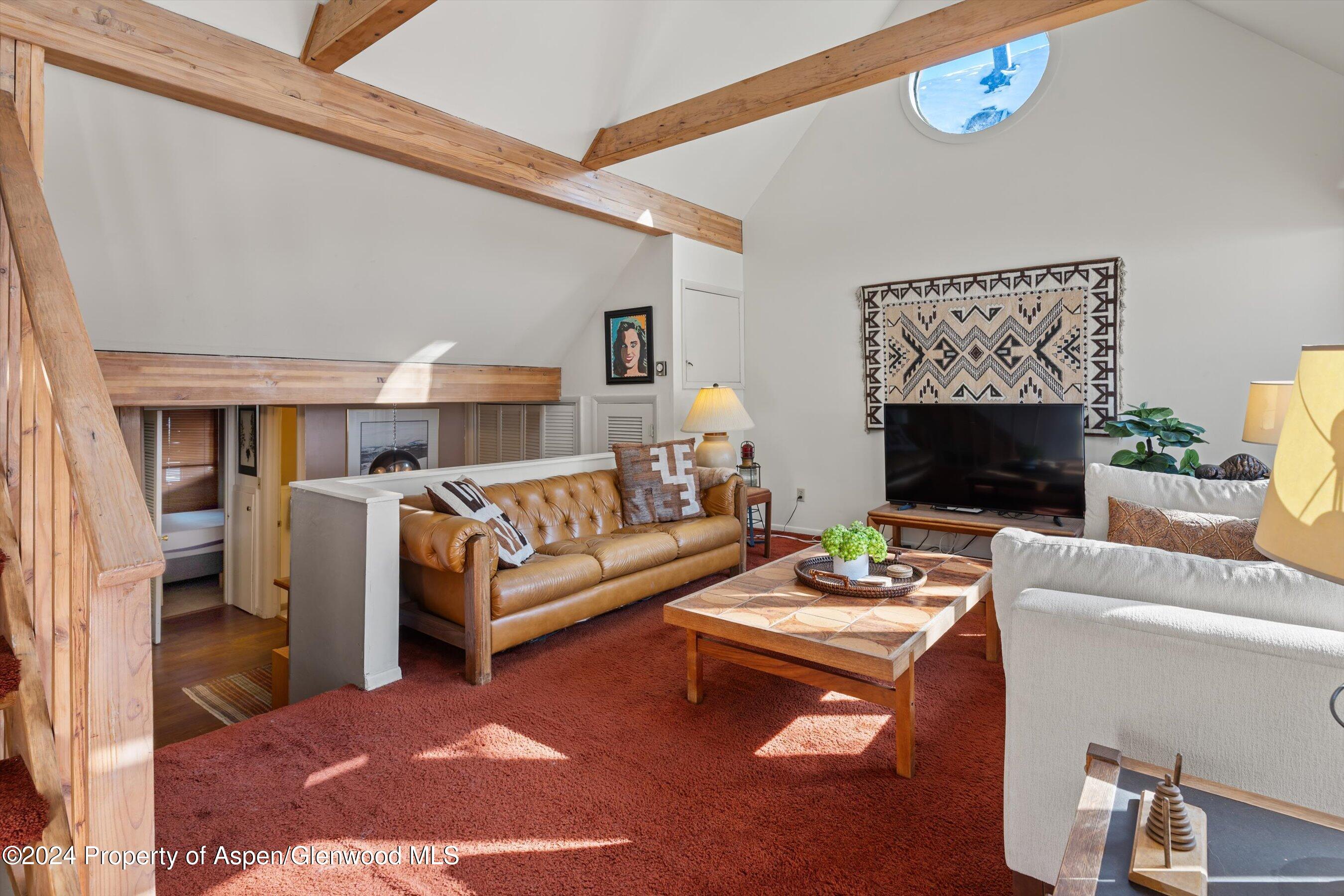 217 W Bleeker Street Aspen CO 81611