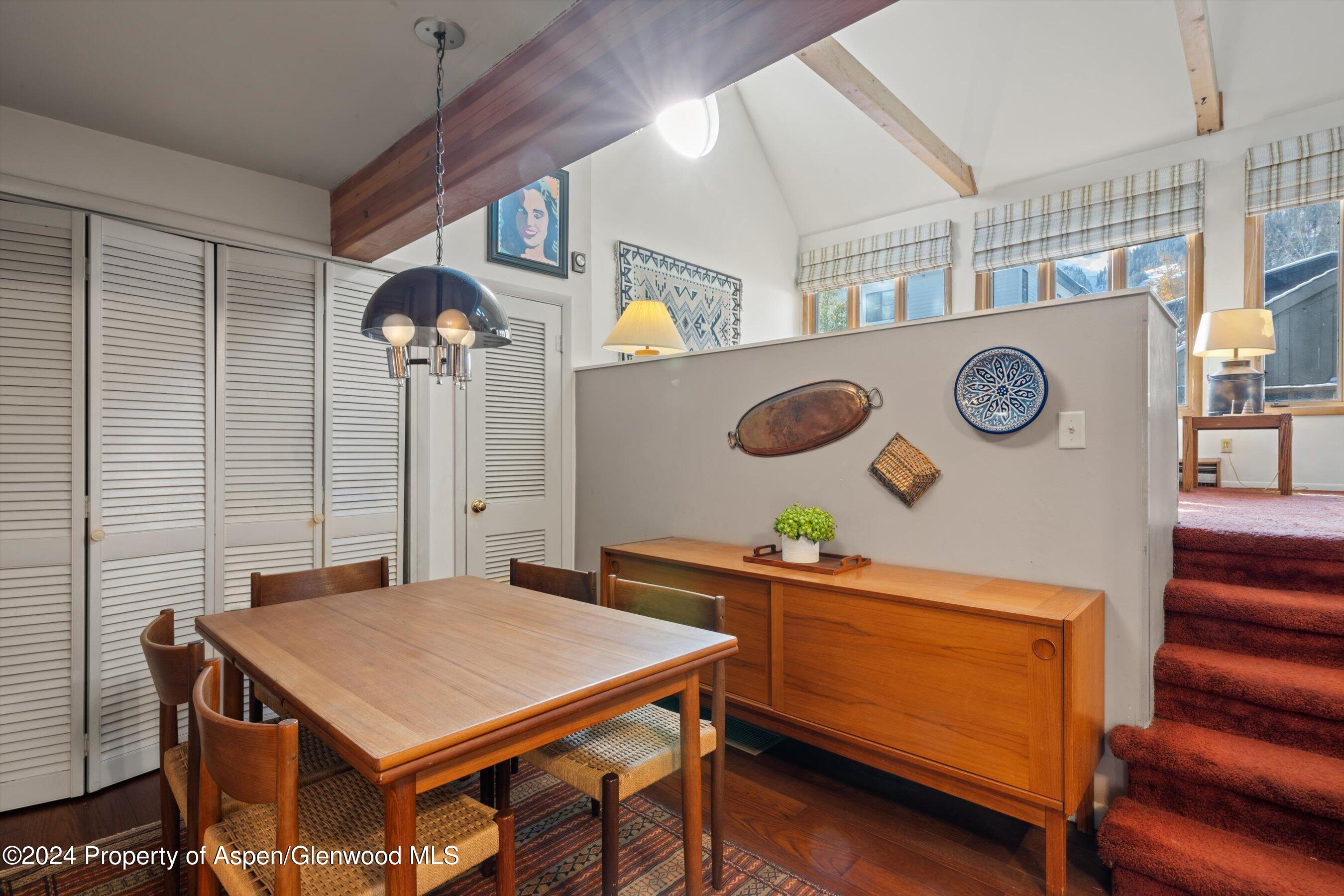 217 W Bleeker Street Aspen CO 81611