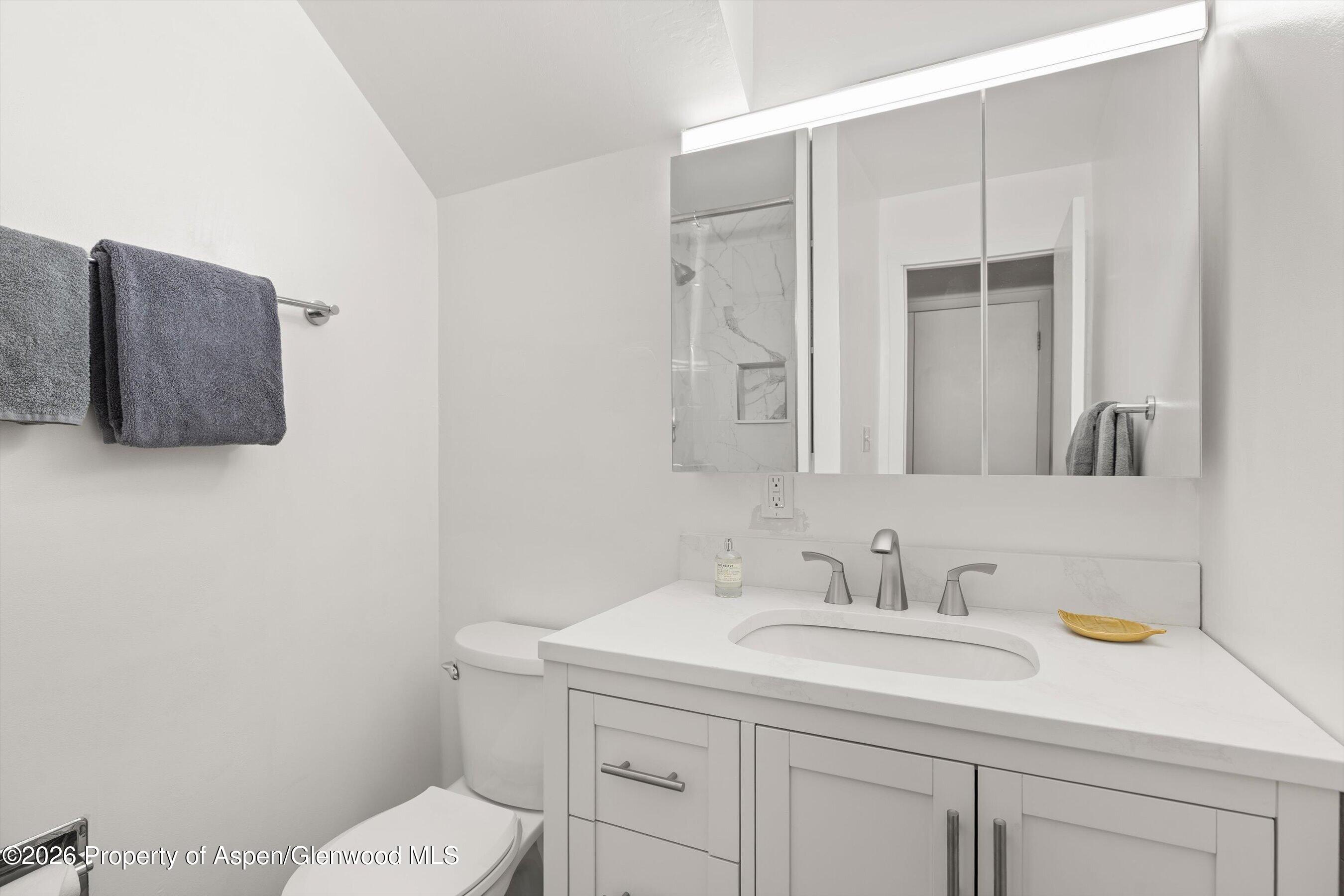 217 W Bleeker Street Aspen CO 81611