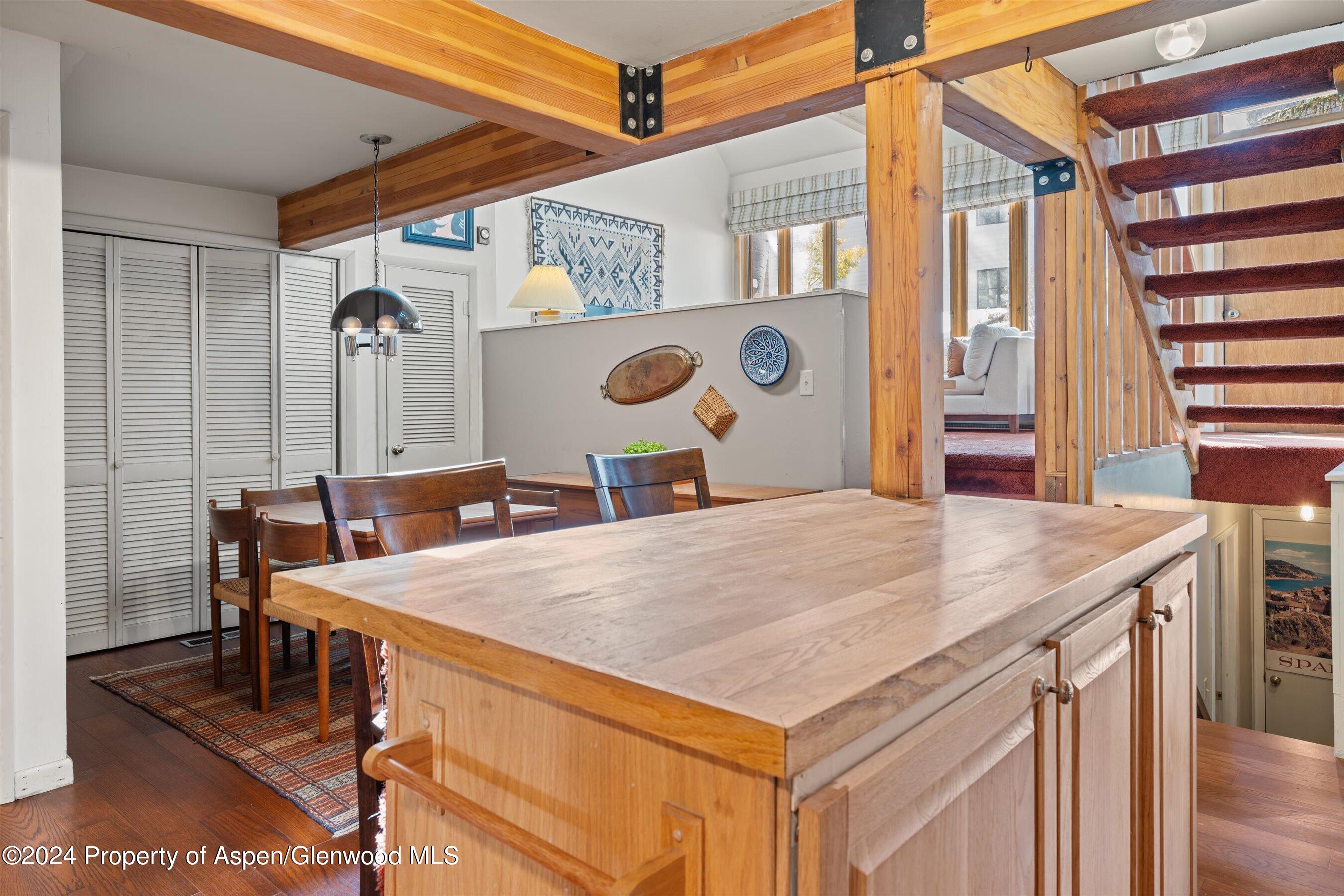 217 W Bleeker Street Aspen CO 81611