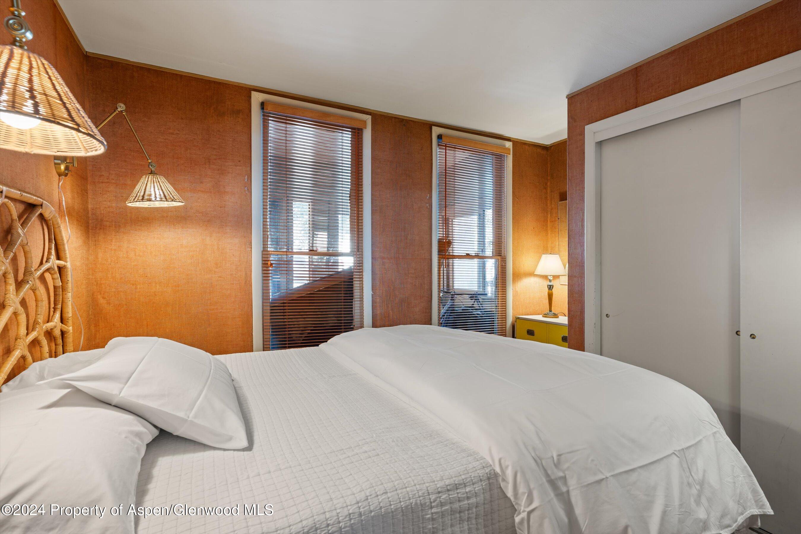 217 W Bleeker Street Aspen CO 81611