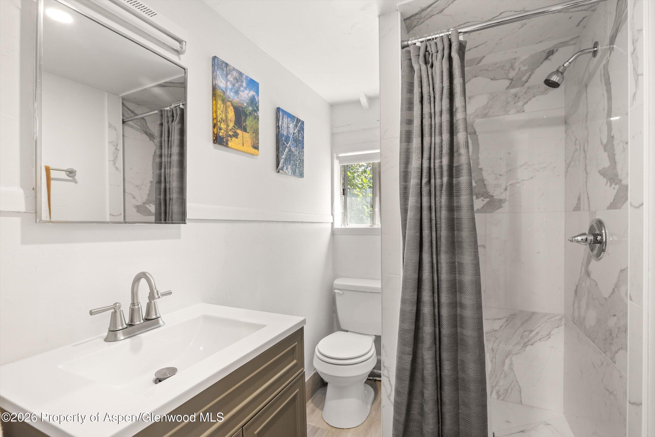 217 W Bleeker Street Aspen CO 81611