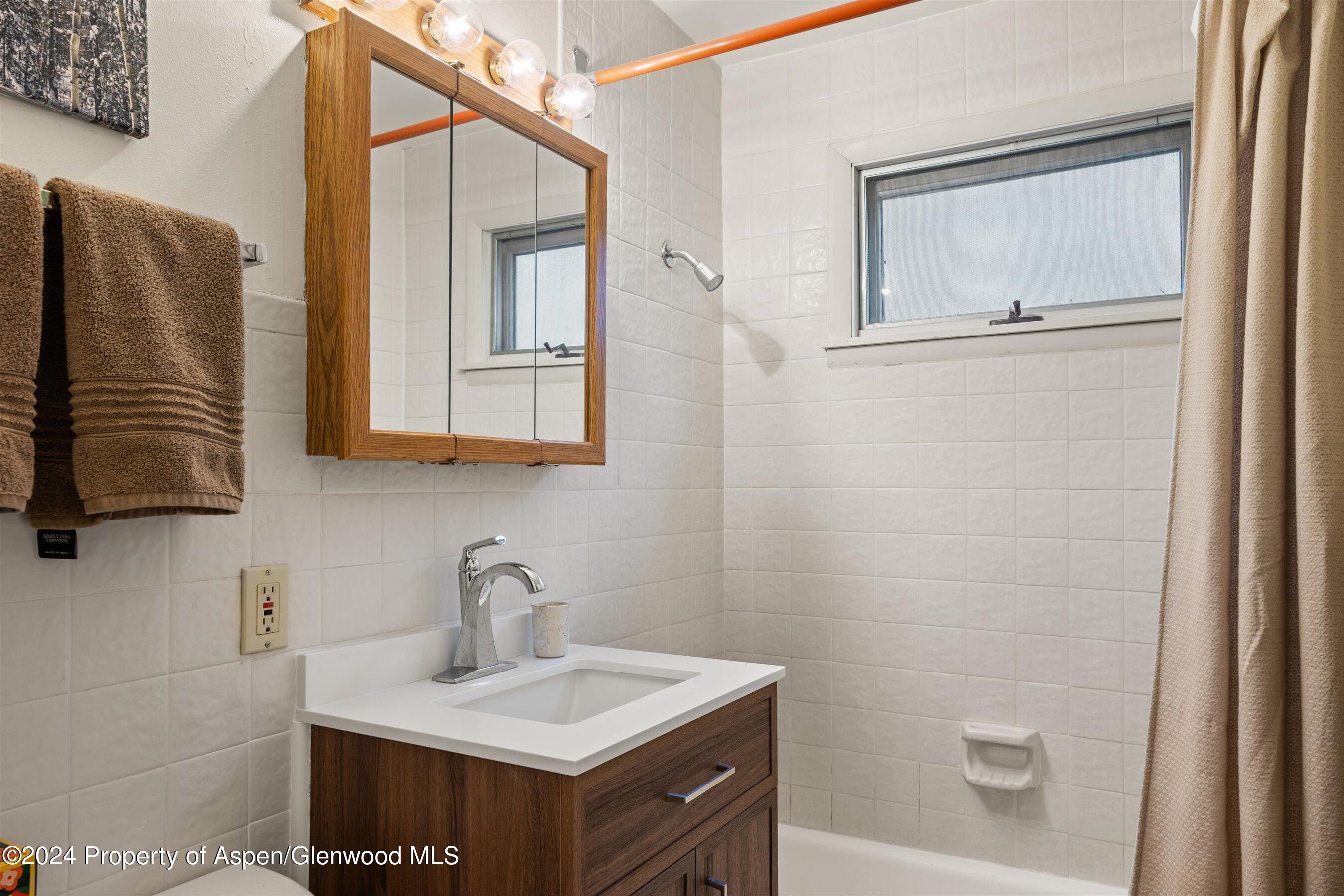 217 W Bleeker Street Aspen CO 81611