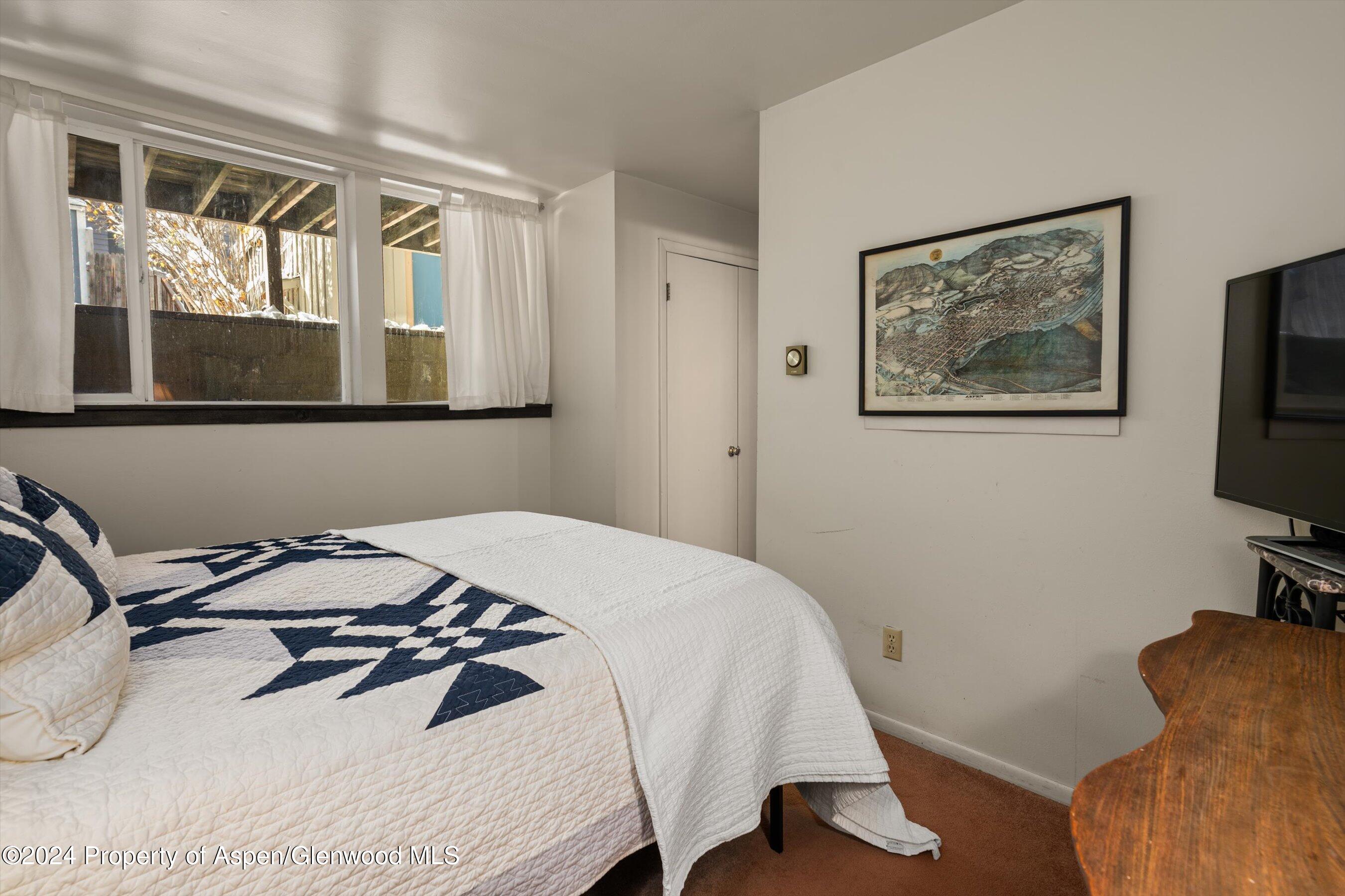 217 W Bleeker Street Aspen CO 81611