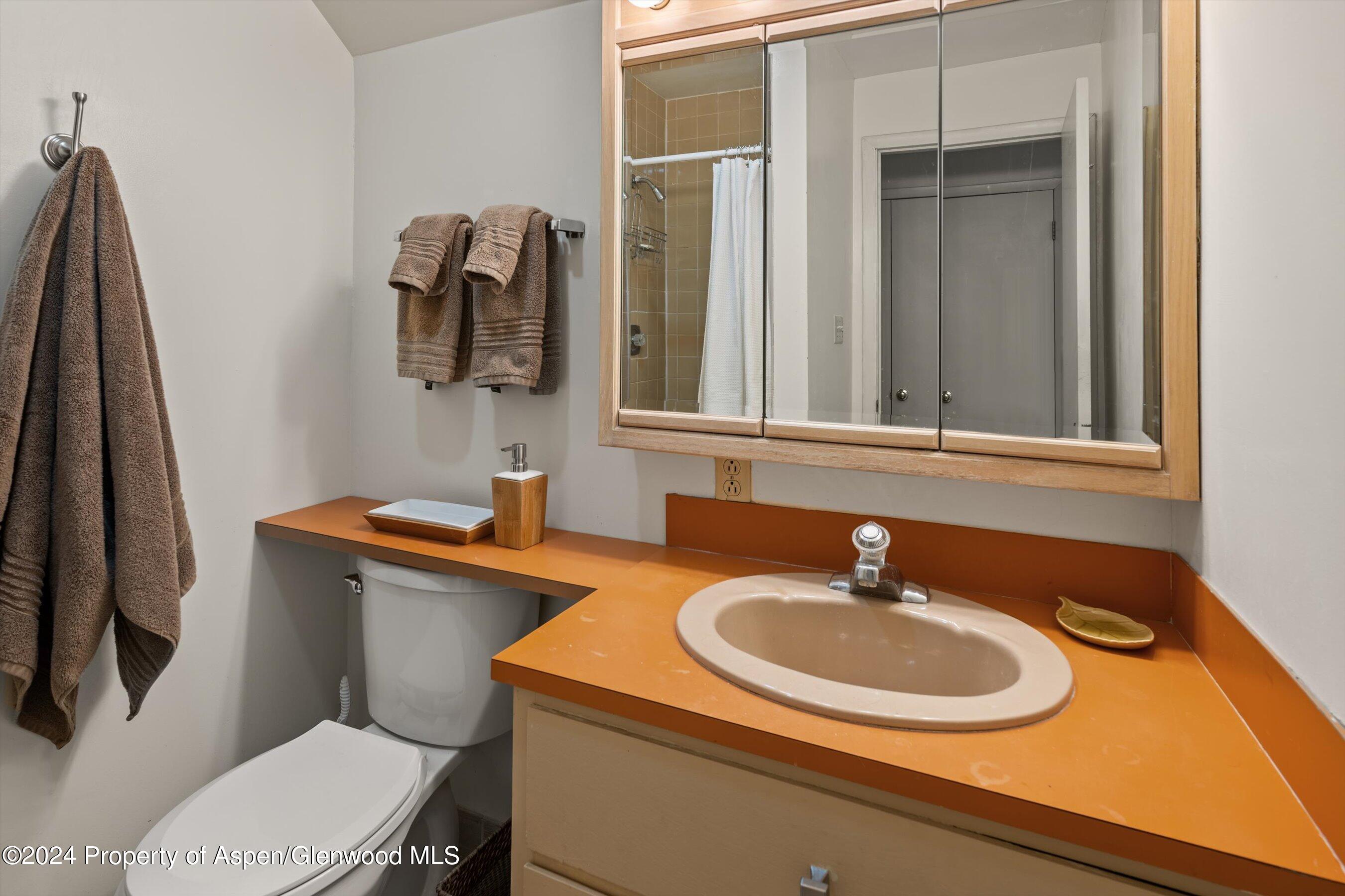 217 W Bleeker Street Aspen CO 81611