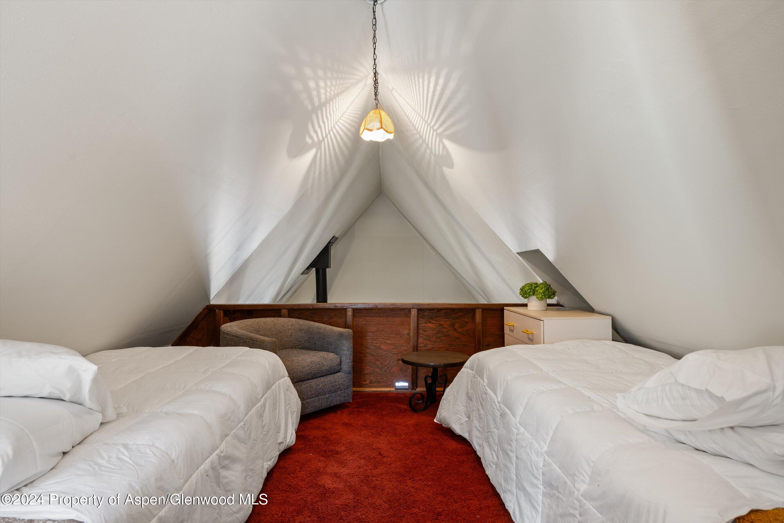 217 W Bleeker Street Aspen CO 81611