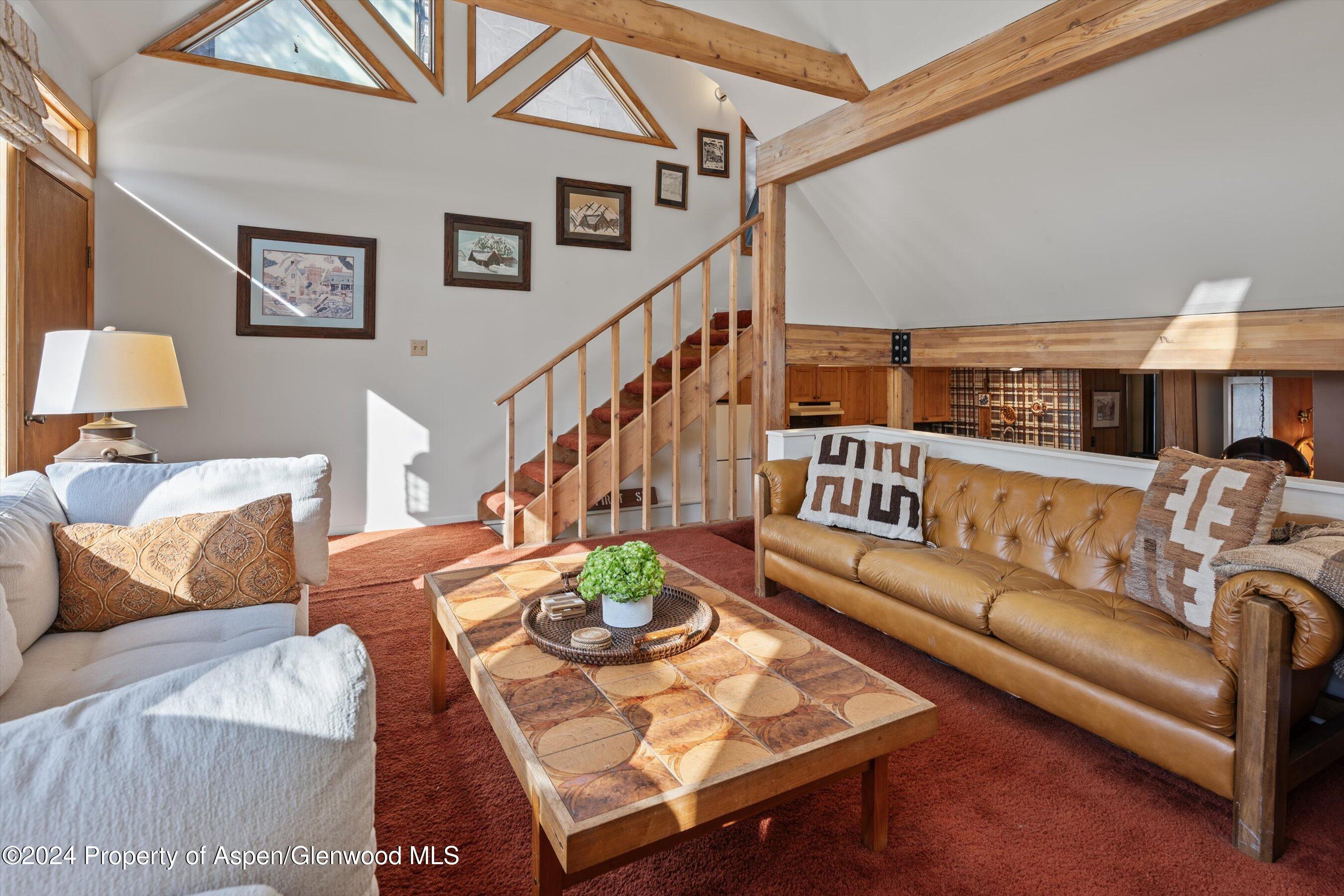 217 W Bleeker Street Aspen CO 81611