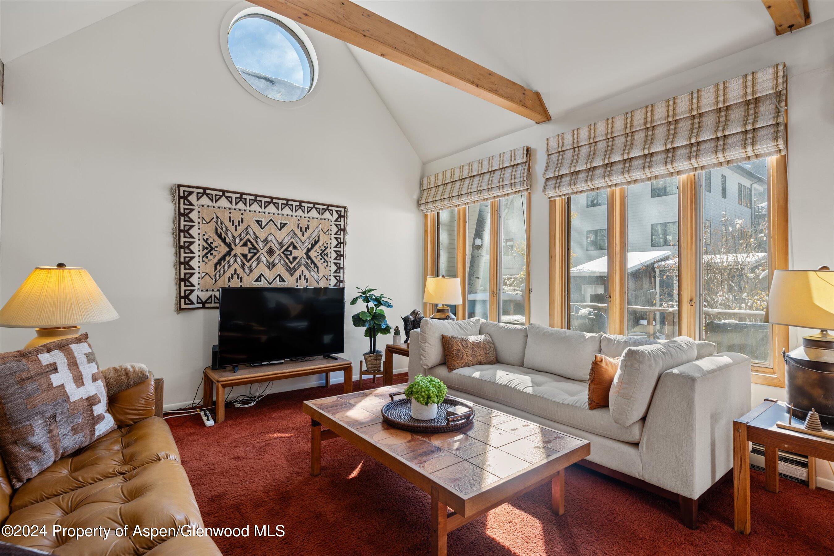 217 W Bleeker Street Aspen CO 81611