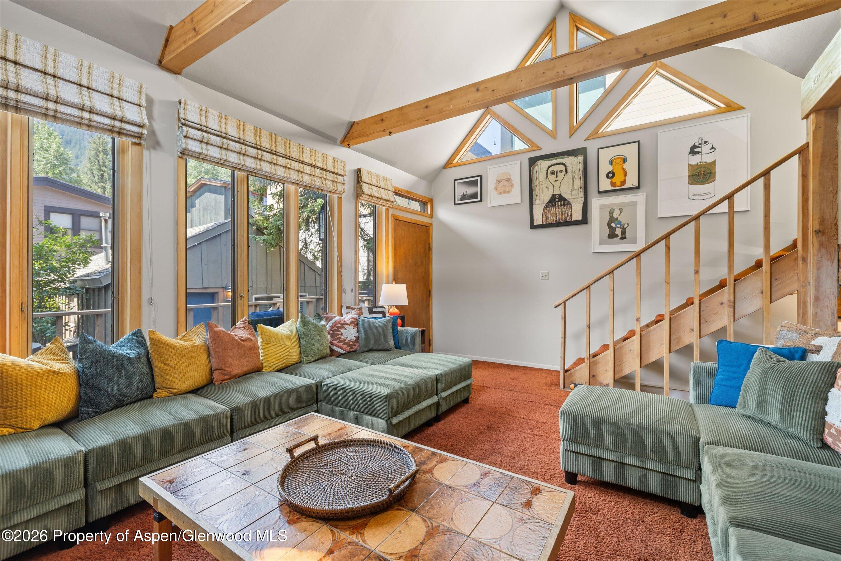 217 W Bleeker Street Aspen CO 81611