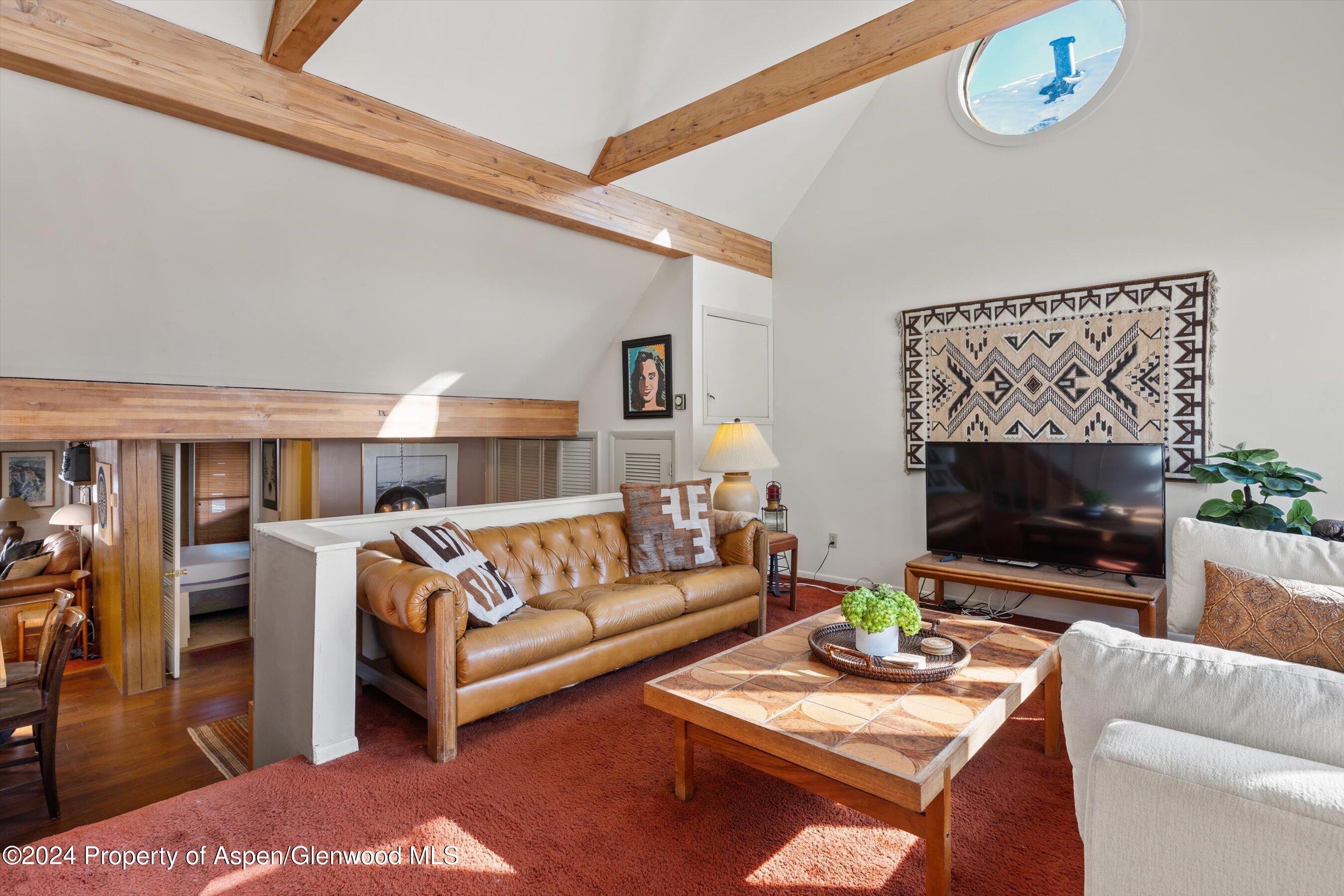 217 W Bleeker Street Aspen CO 81611