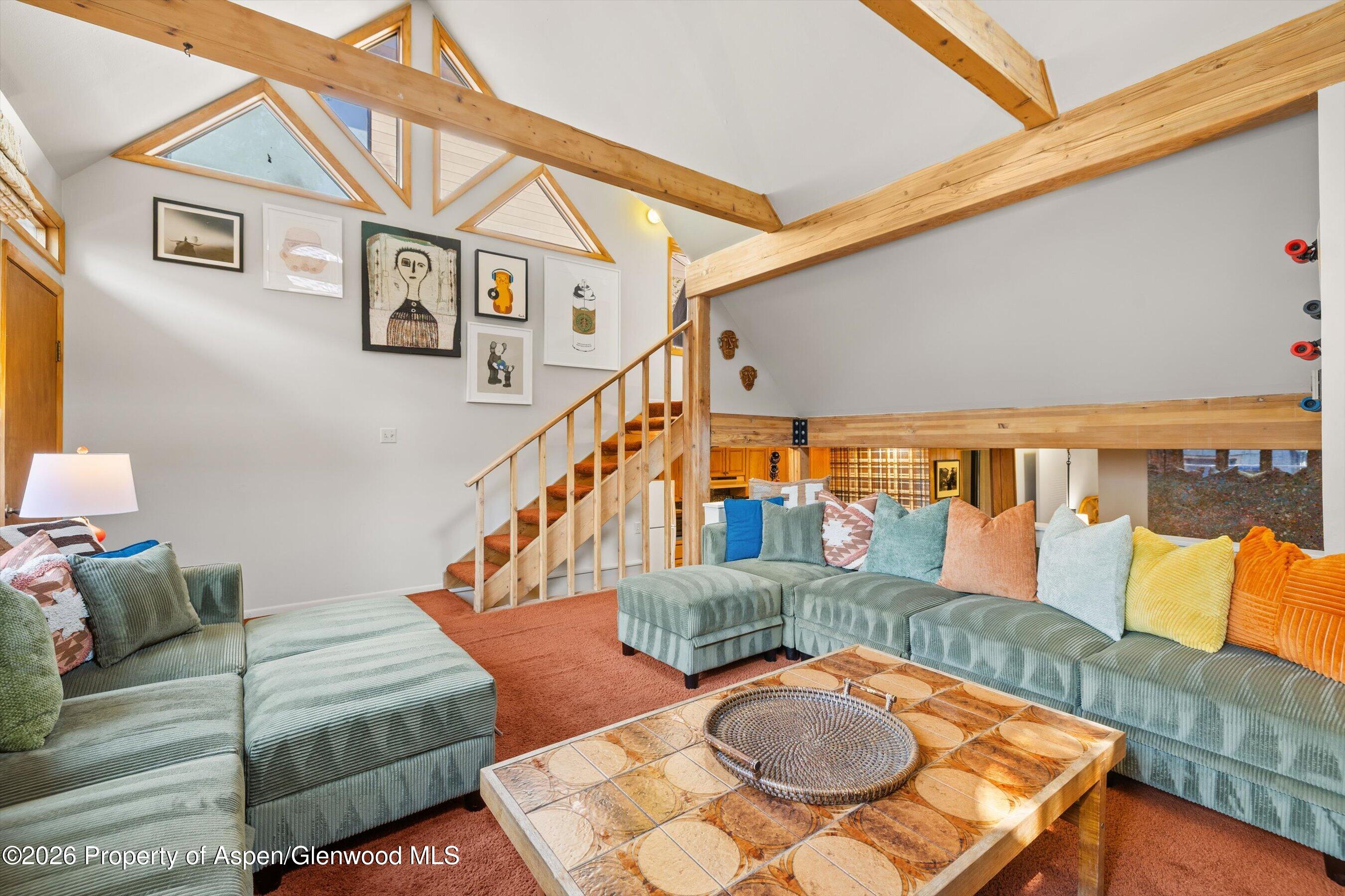 217 W Bleeker Street Aspen CO 81611