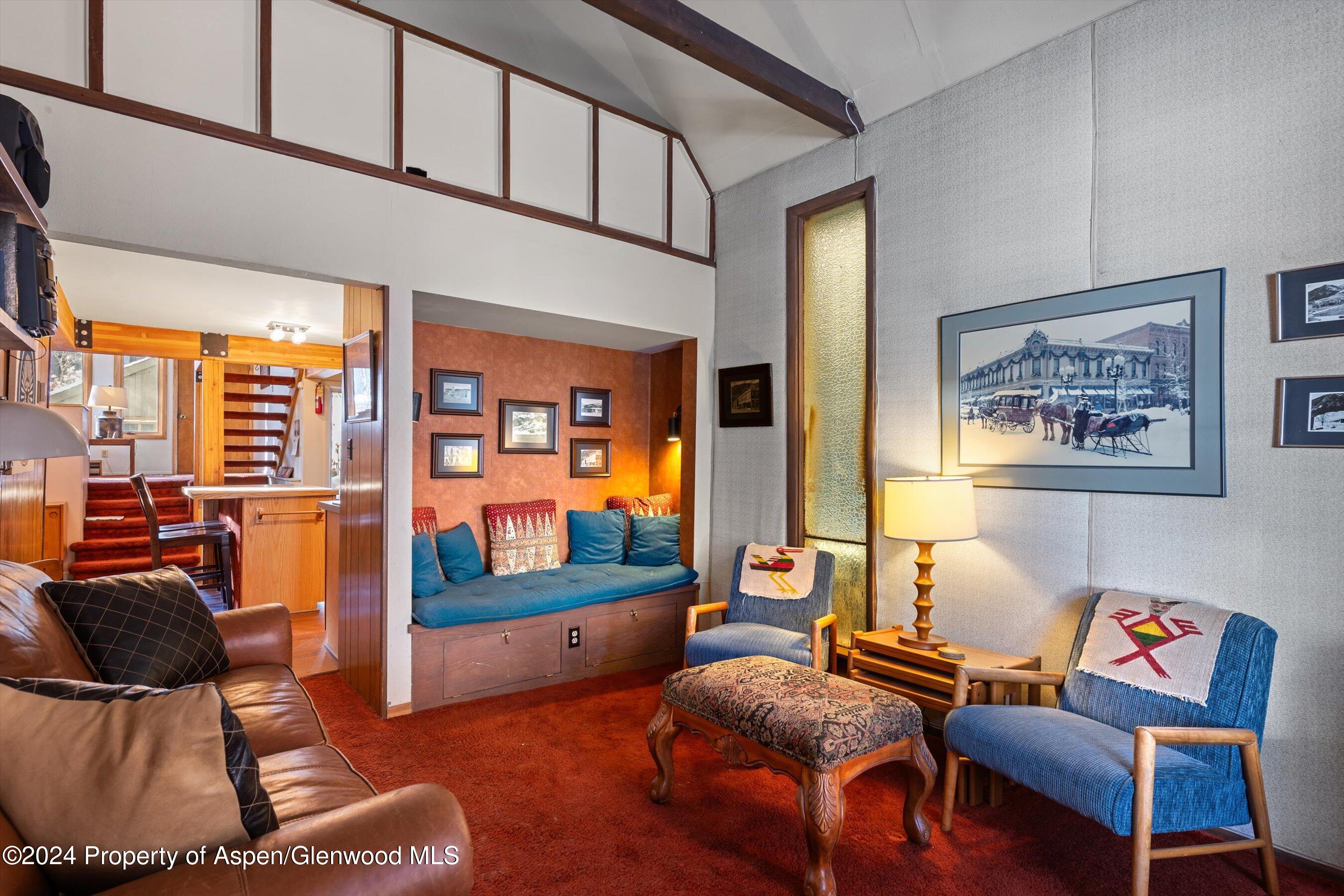 217 W Bleeker Street Aspen CO 81611