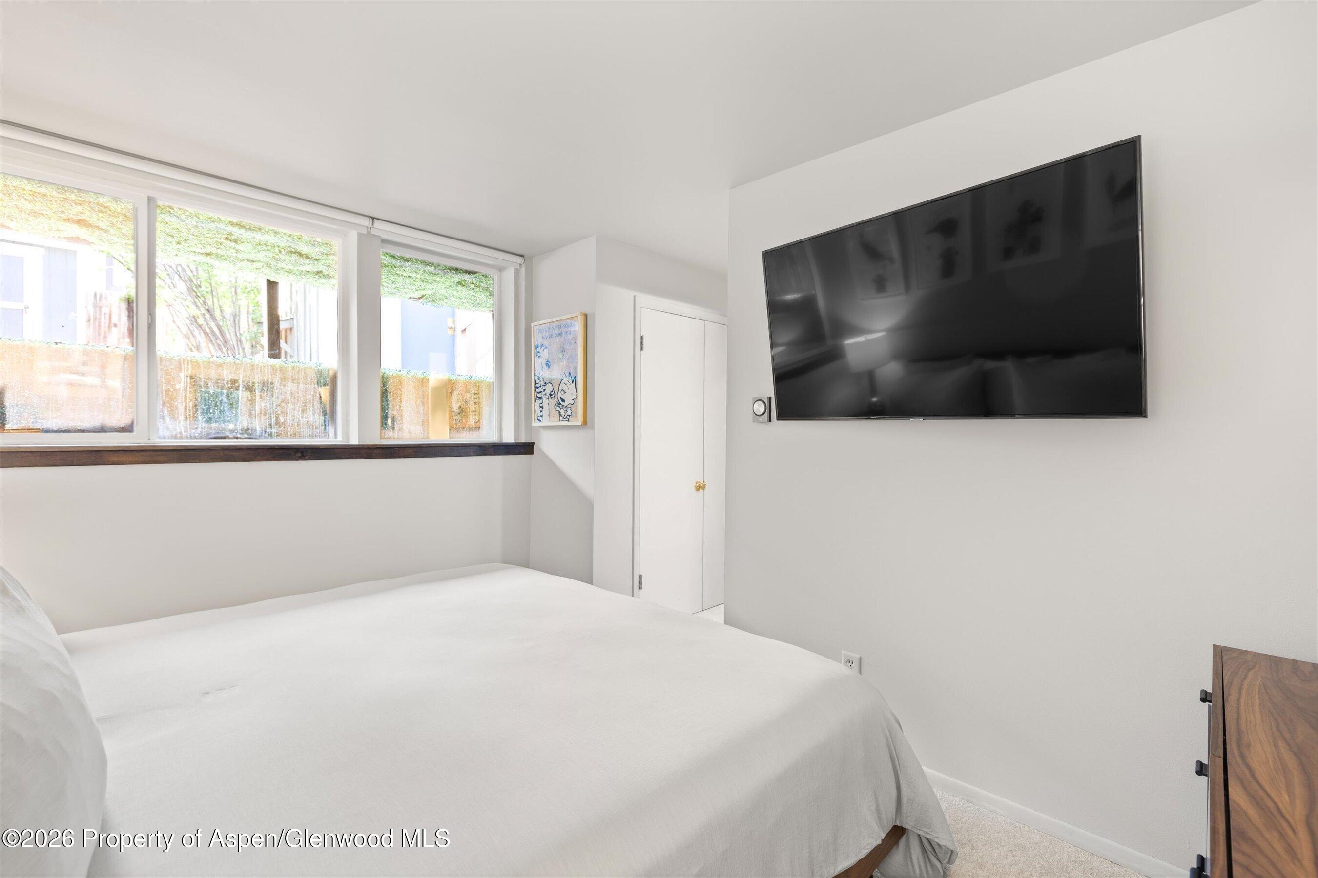 217 W Bleeker Street Aspen CO 81611