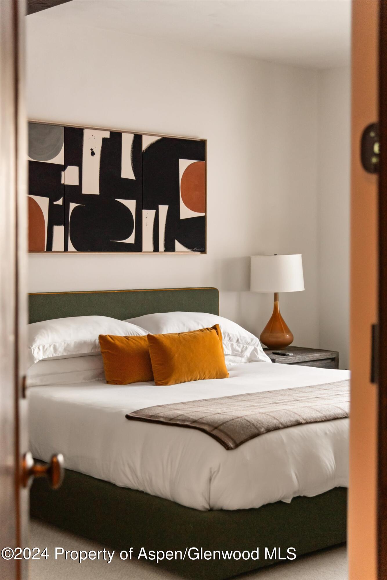 379 Divide Drive Snowmass Village CO 81615